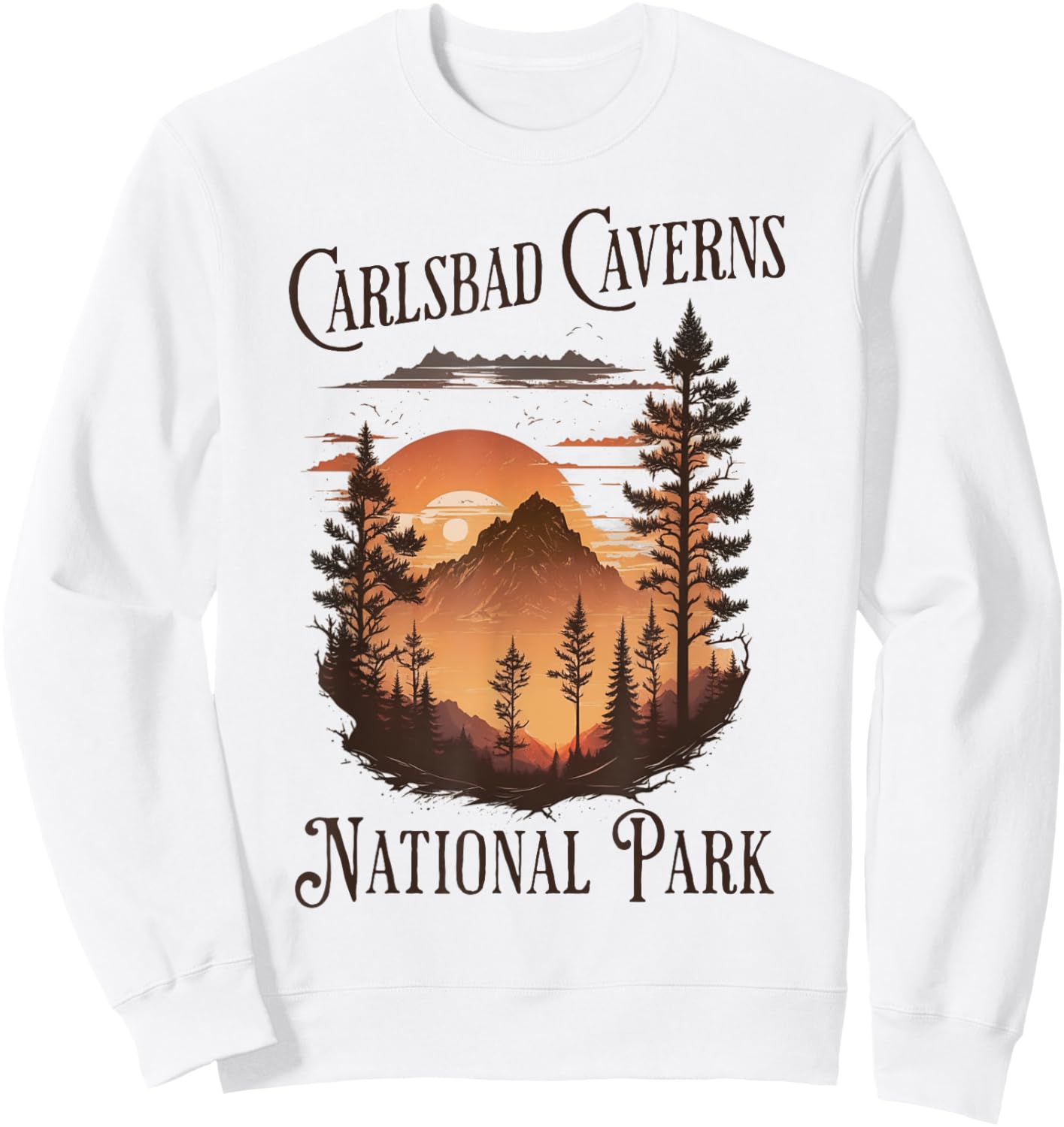 Carlsbad Caverns National Park Sweatshirt - Sweatshirt | White