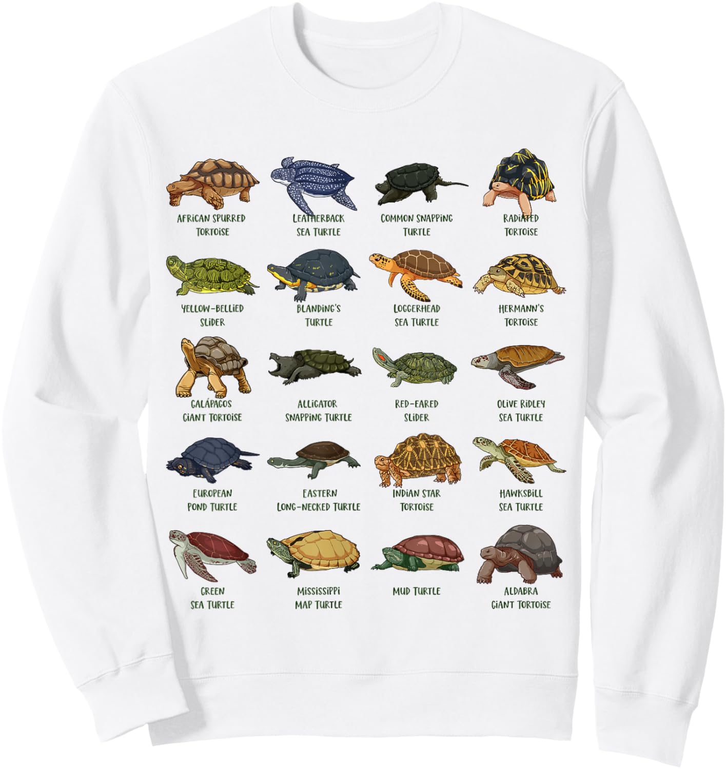 Tortoises and Turtles - Types of Turtles Sweatshirt - Sweatshirt | White