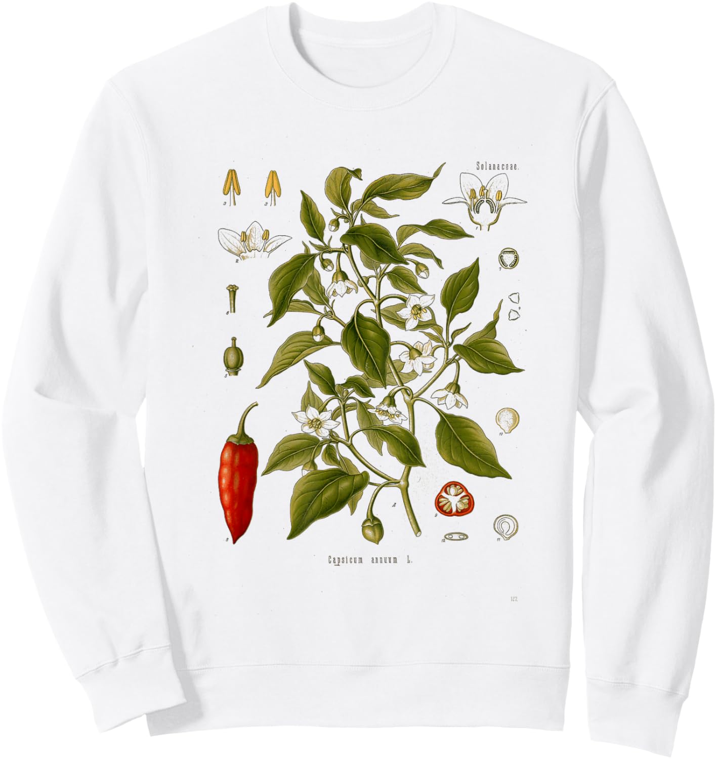 Vintage Botanical chili red peppers Garden Botany Sweatshirt - Sweatshirt | White