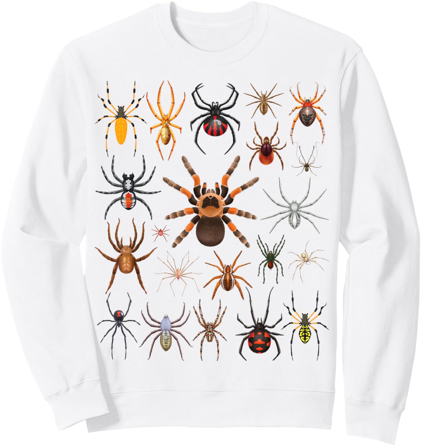 Types of Spiders Educational Entomology Boys Girls Kids Sweatshirt - Sweatshirt | White