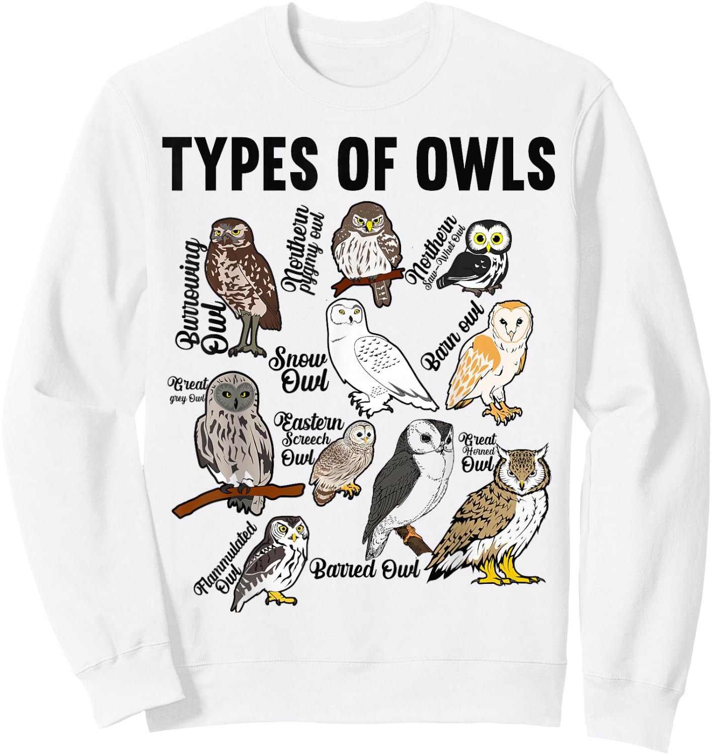 Types of Owls Owl Sweatshirt - Sweatshirt | White