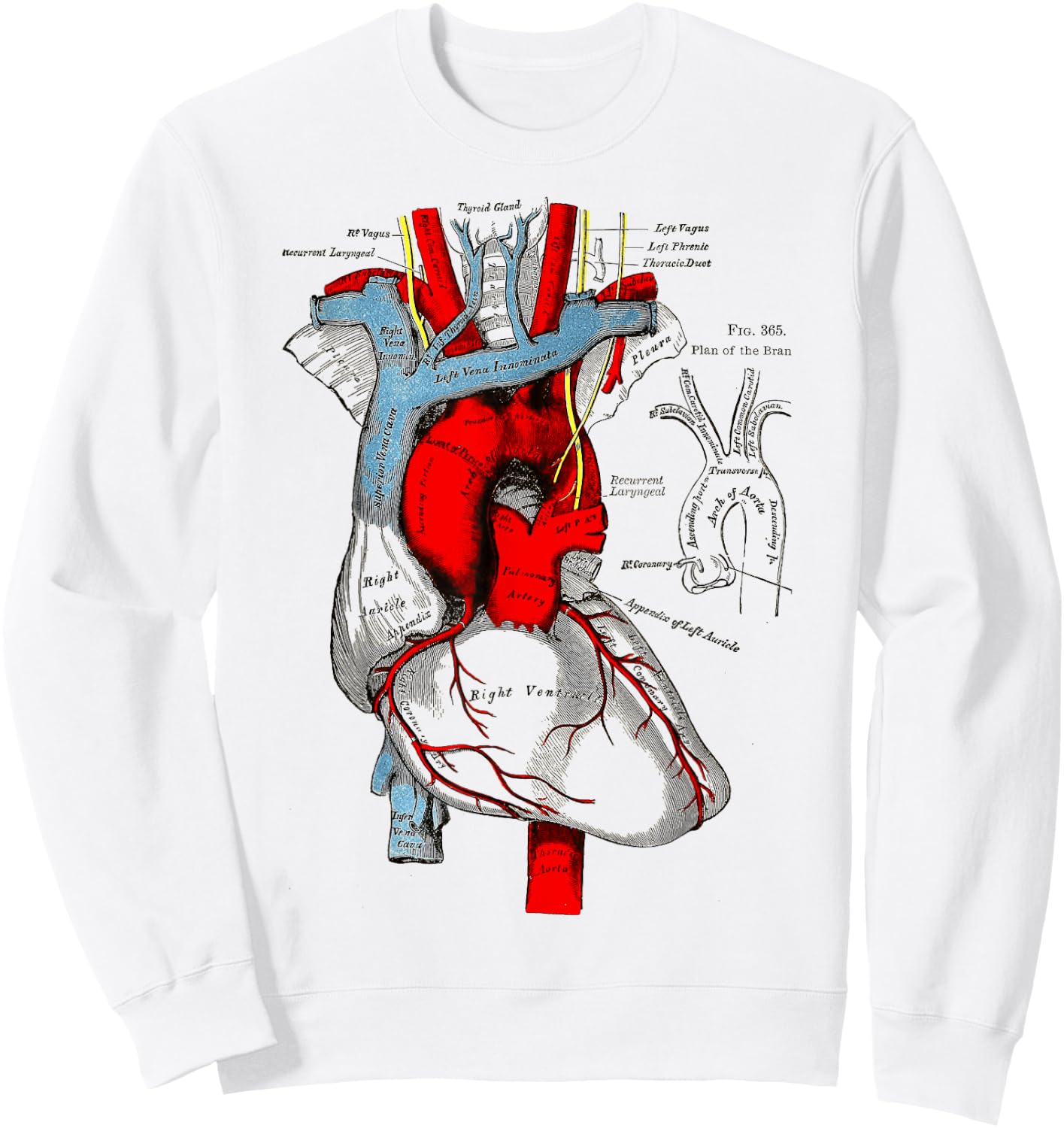 Vintage medical Human Heart Anatomy Illustration Sweatshirt - Sweatshirt | White