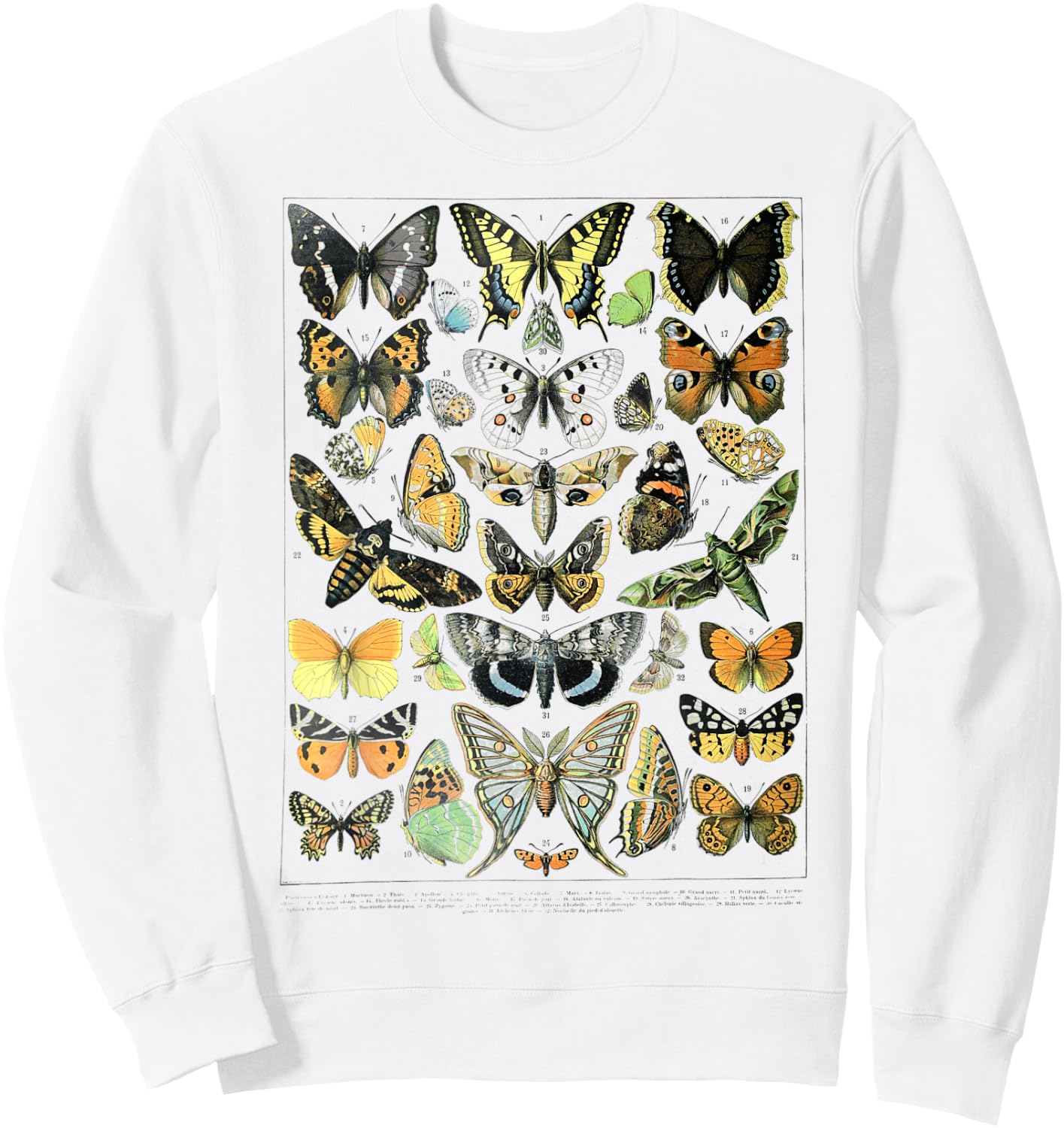 Papillons Butterflies print Butterflies Illustration chart Sweatshirt - Sweatshirt | White