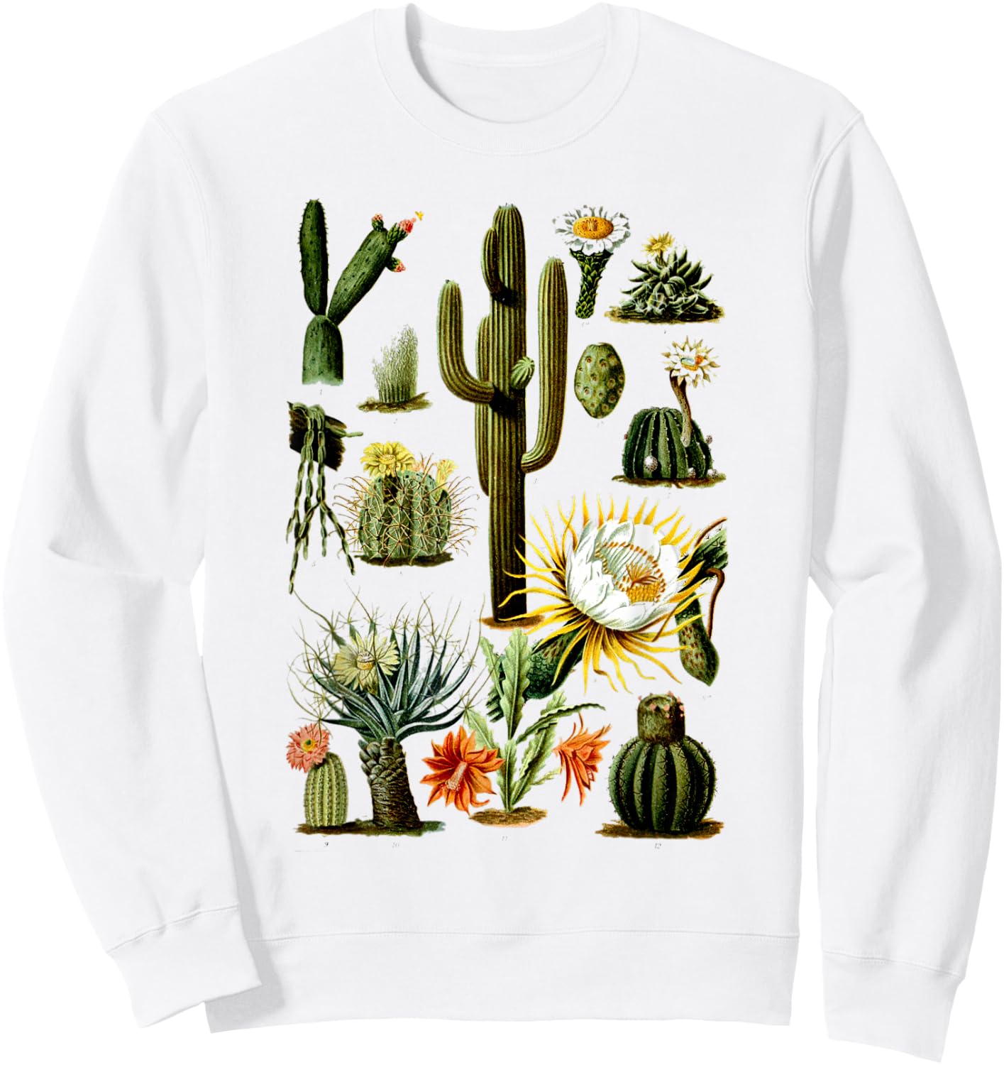 Vintage 70s Boho Botany Botanical Cactus Succulent Plant Sweatshirt - Sweatshirt | White