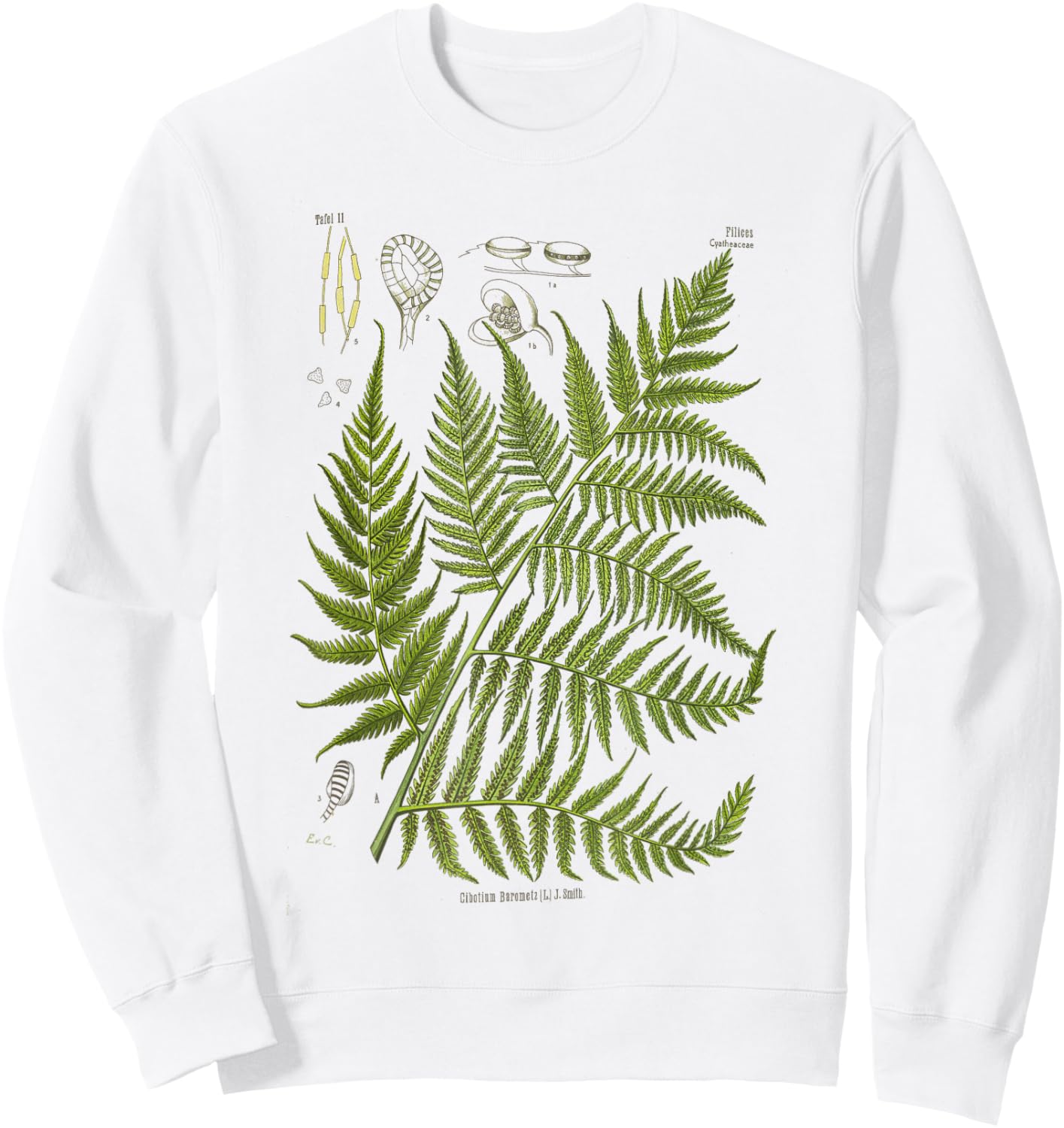 Vintage Botanical Fern Garden Botany Fern Sweatshirt - Sweatshirt | White