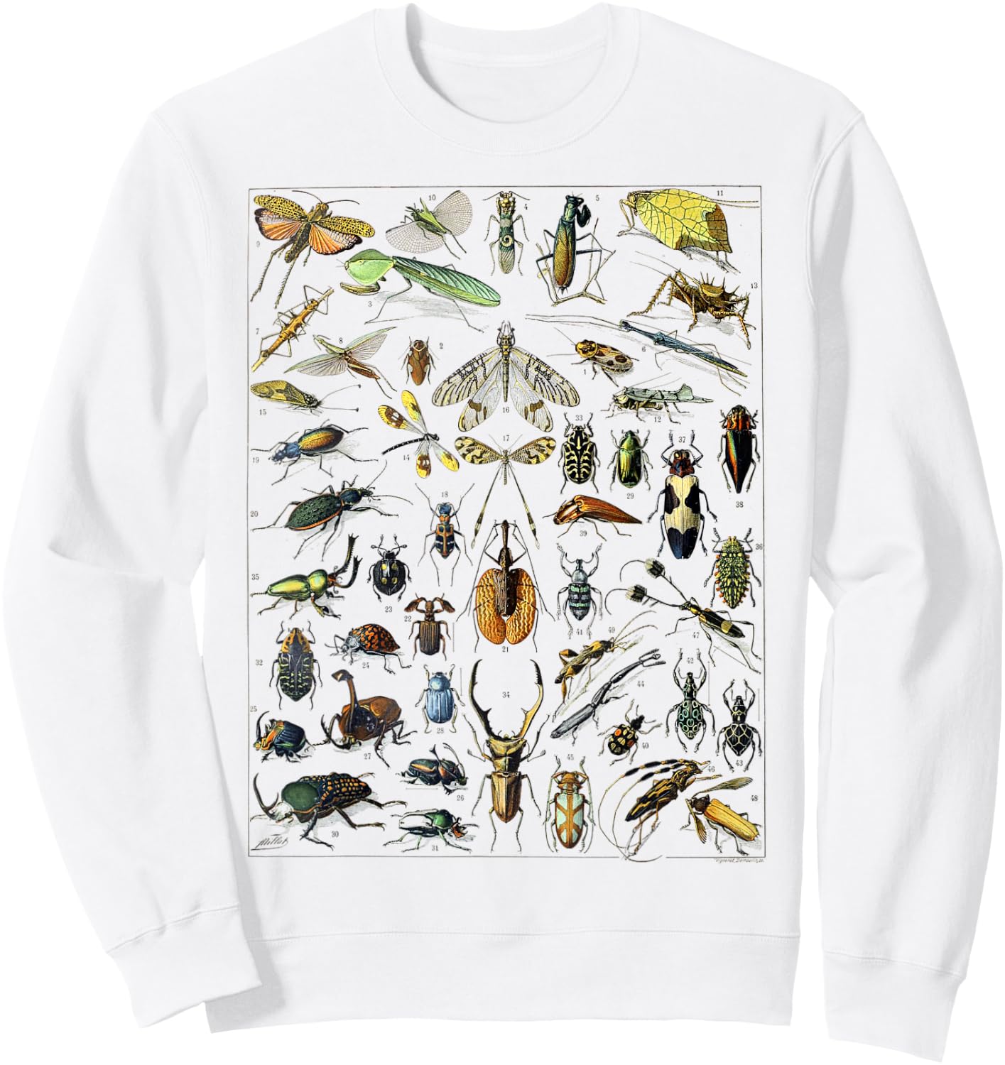 Insect Bug Entomology Print Gift Bug Print Sweatshirt - Sweatshirt | White