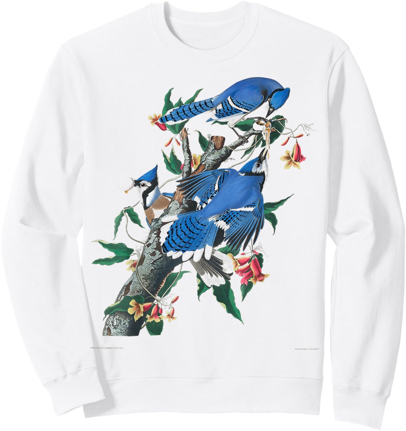 Vintage BlueJays Birdwatcher Bird Illustration Design Sweatshirt - Sweatshirt | White