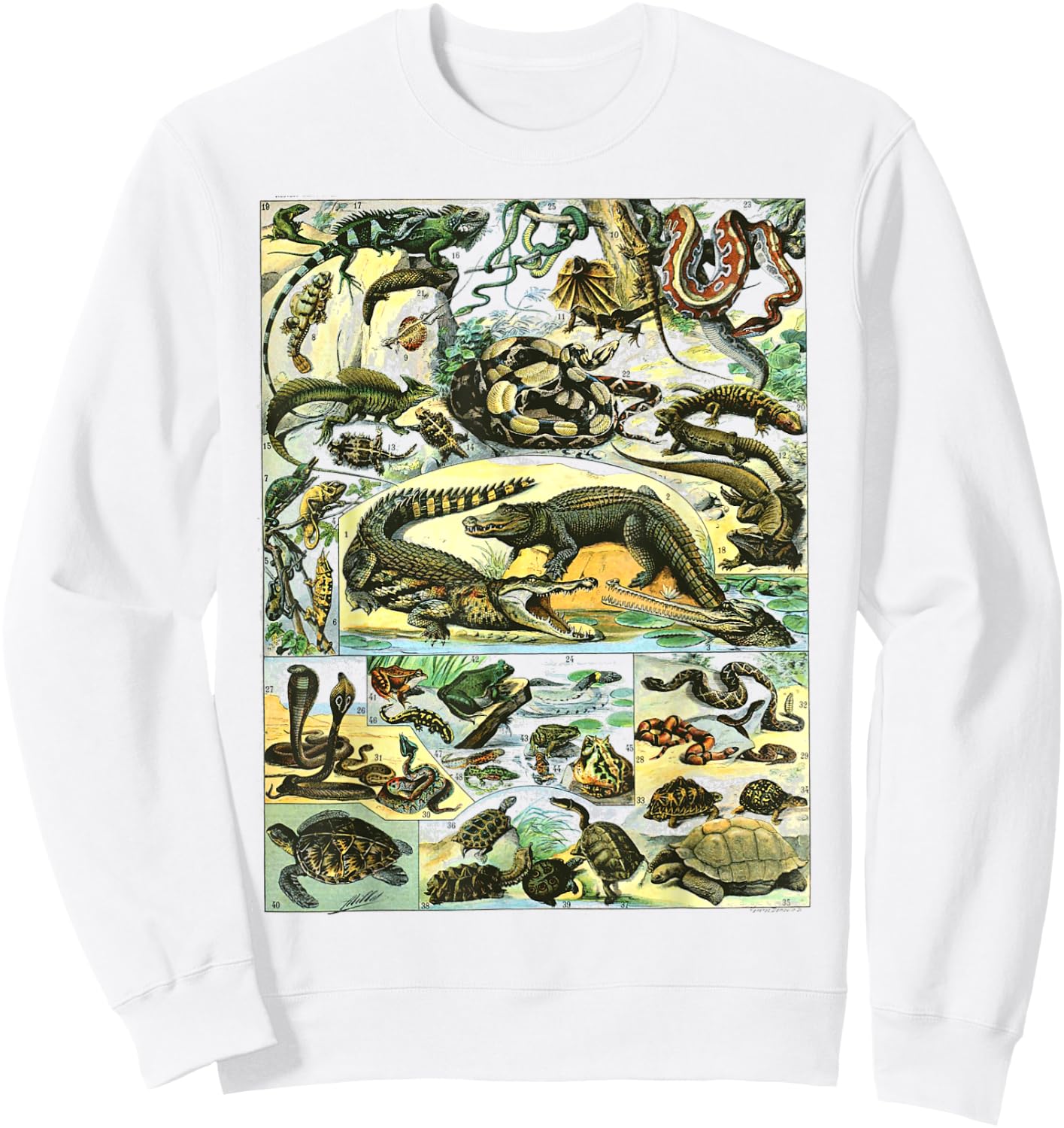 Reptiles Collection Table Turtle Snake Species Vintage Sweatshirt - Sweatshirt | White