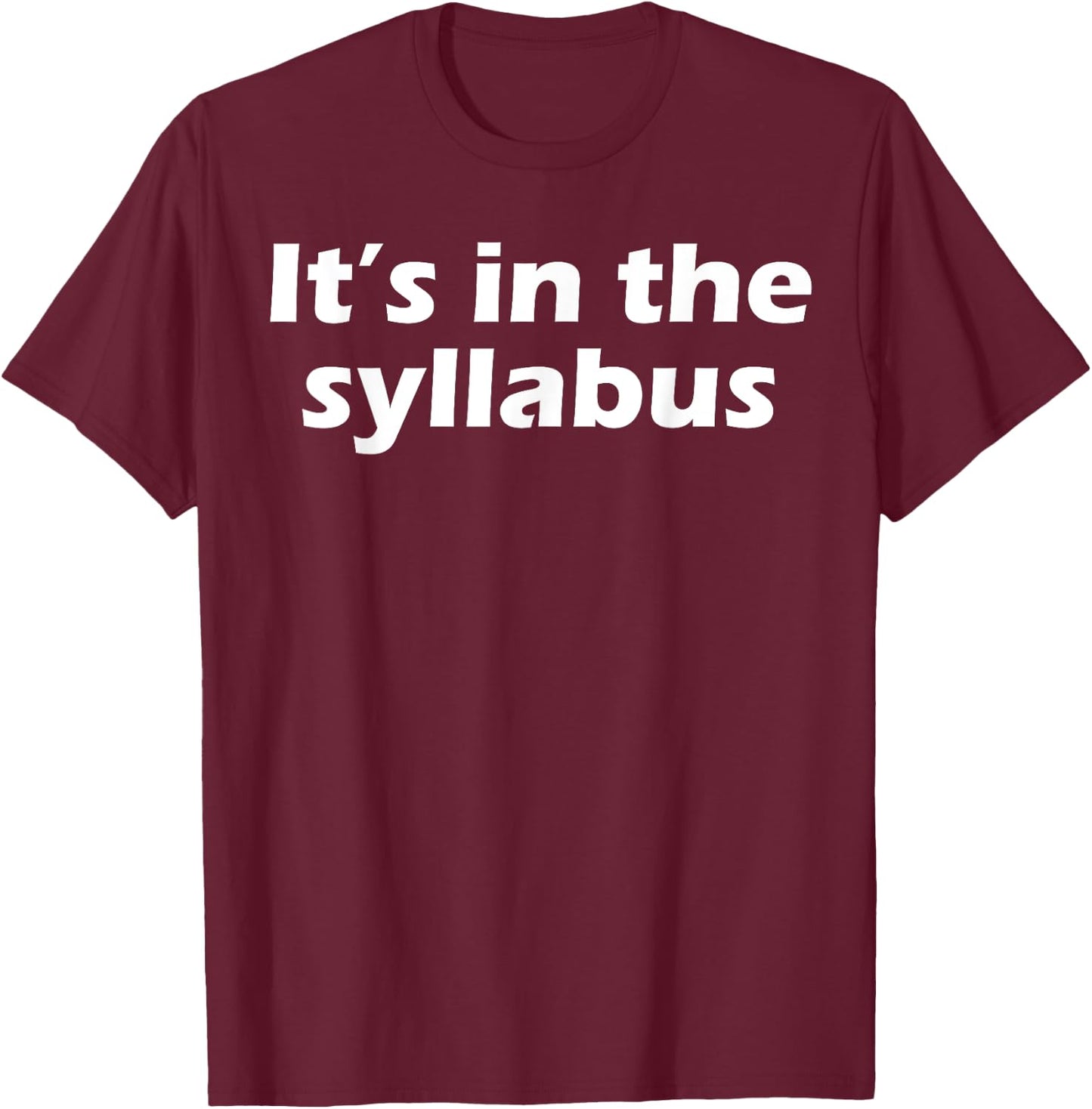 It's In The Syllabus T-Shirt - T-Shirt | Maroon