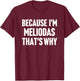 Because I'm Meliodas That's Why Am Personalized Name T-Shirt - T-Shirt | Maroon
