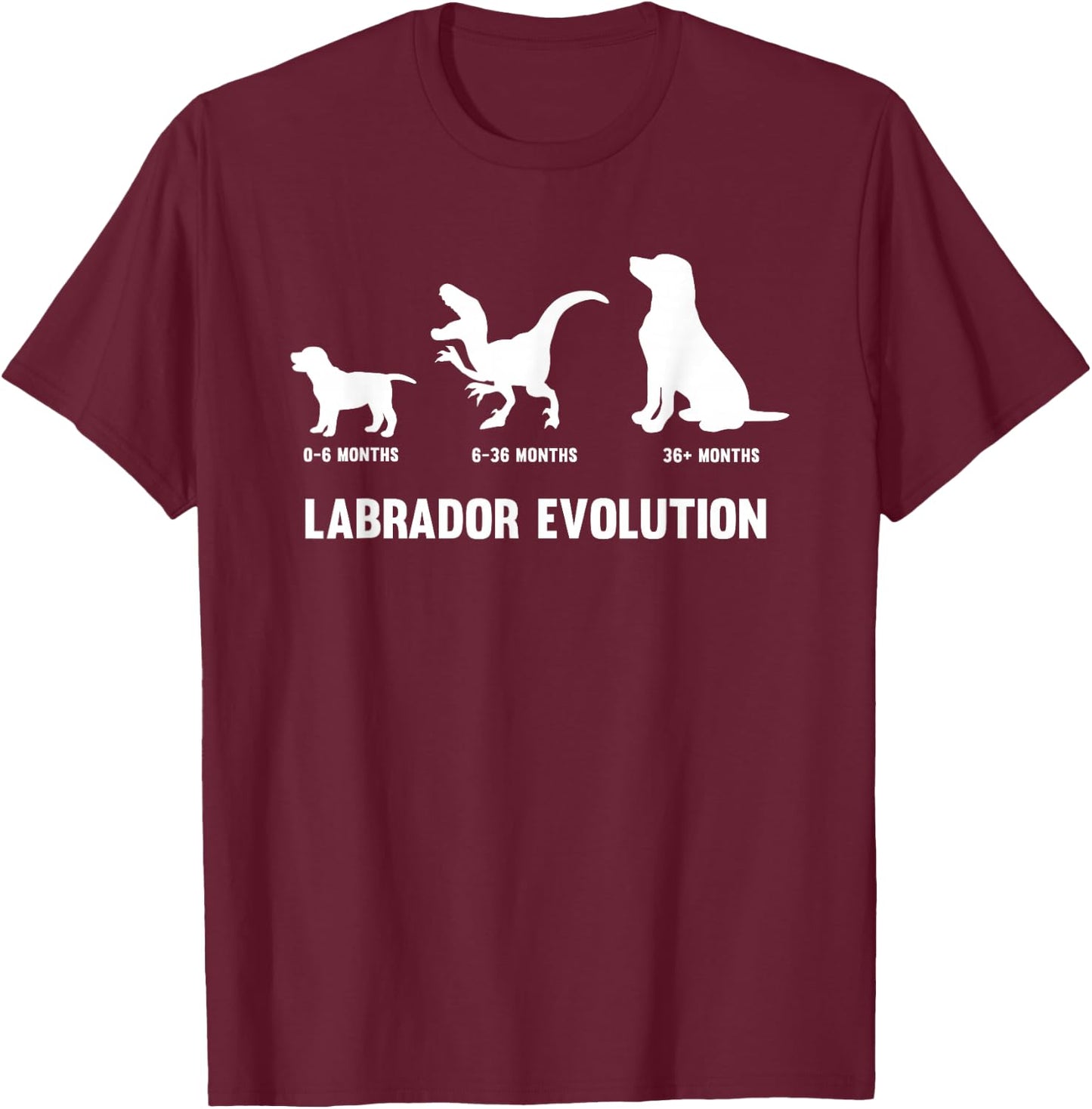 Labrador Retriever Evolution Design for a Labrador Owner Small T-Shirt - T-Shirt | Maroon