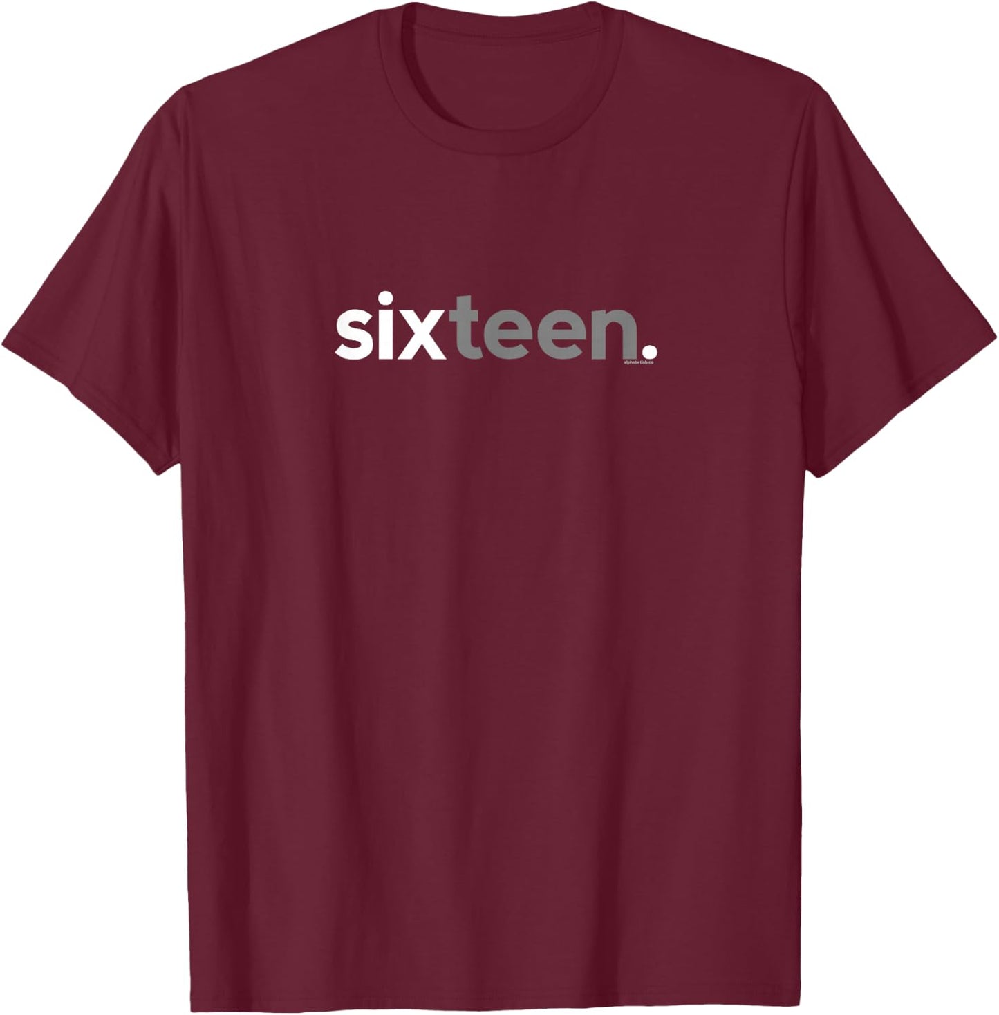 16th Birthday for Boys Sixteen Him Age 16 Year Party Teen T-Shirt - T-Shirt | Maroon
