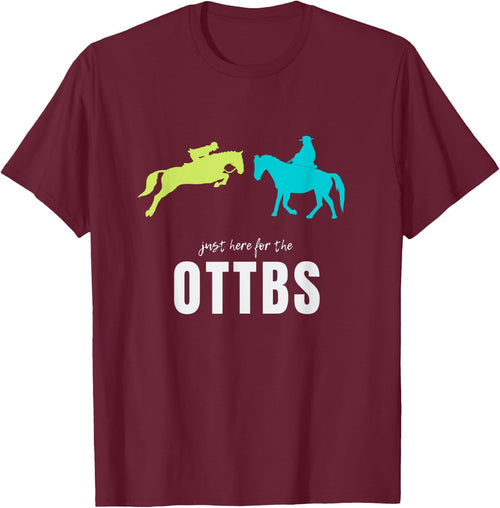 Off Track Thoroughbred, OTTB