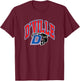 Duncanville High School Panthers T-Shirt - T-Shirt | Maroon
