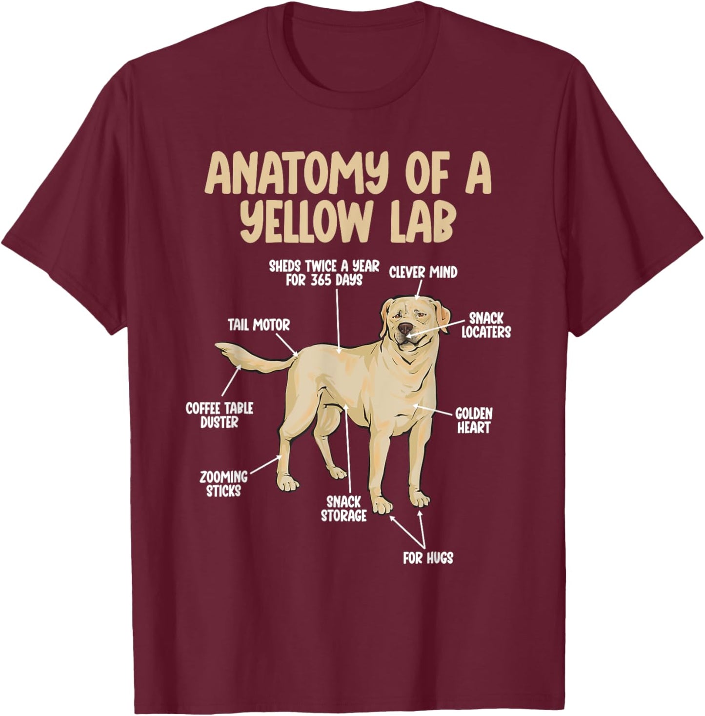 Anatomy Of A Yellow Lab Yellow Labrador Retriever T-Shirt - T-Shirt | Maroon