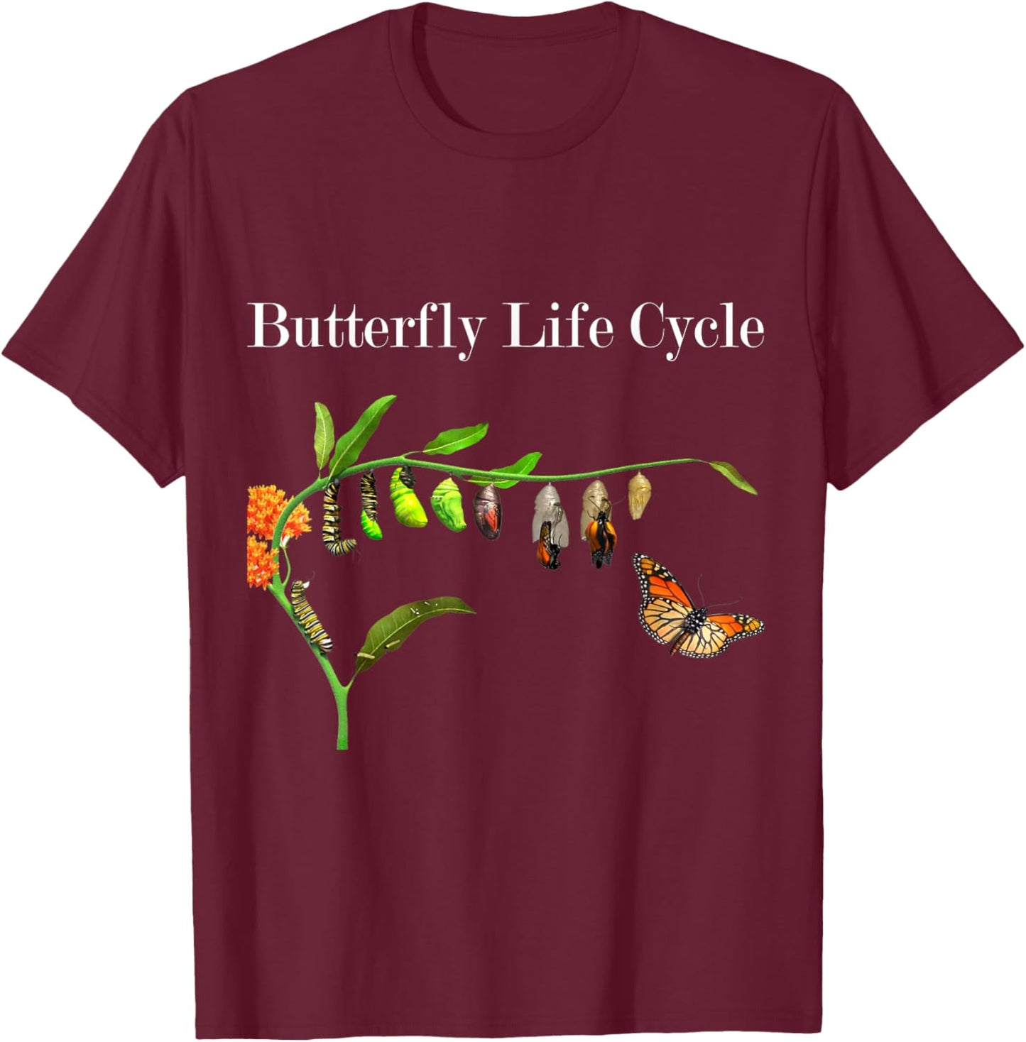 Butterfly Life Cycle Butterflies Natural Sciences Lover T-Shirt - T-Shirt | Maroon