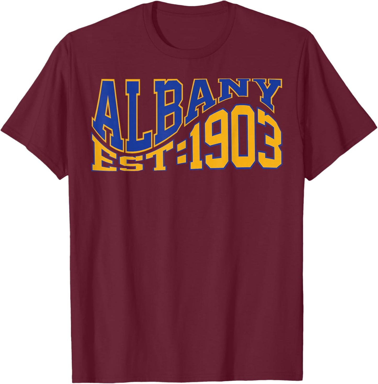 Retro Albany Wave Text City Vintage State T-Shirt - T-Shirt | Maroon