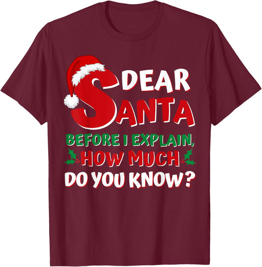 2024 Funny Christmas Shirts Kids Adults Santa I Can Explain T-Shirt - T-Shirt | Maroon