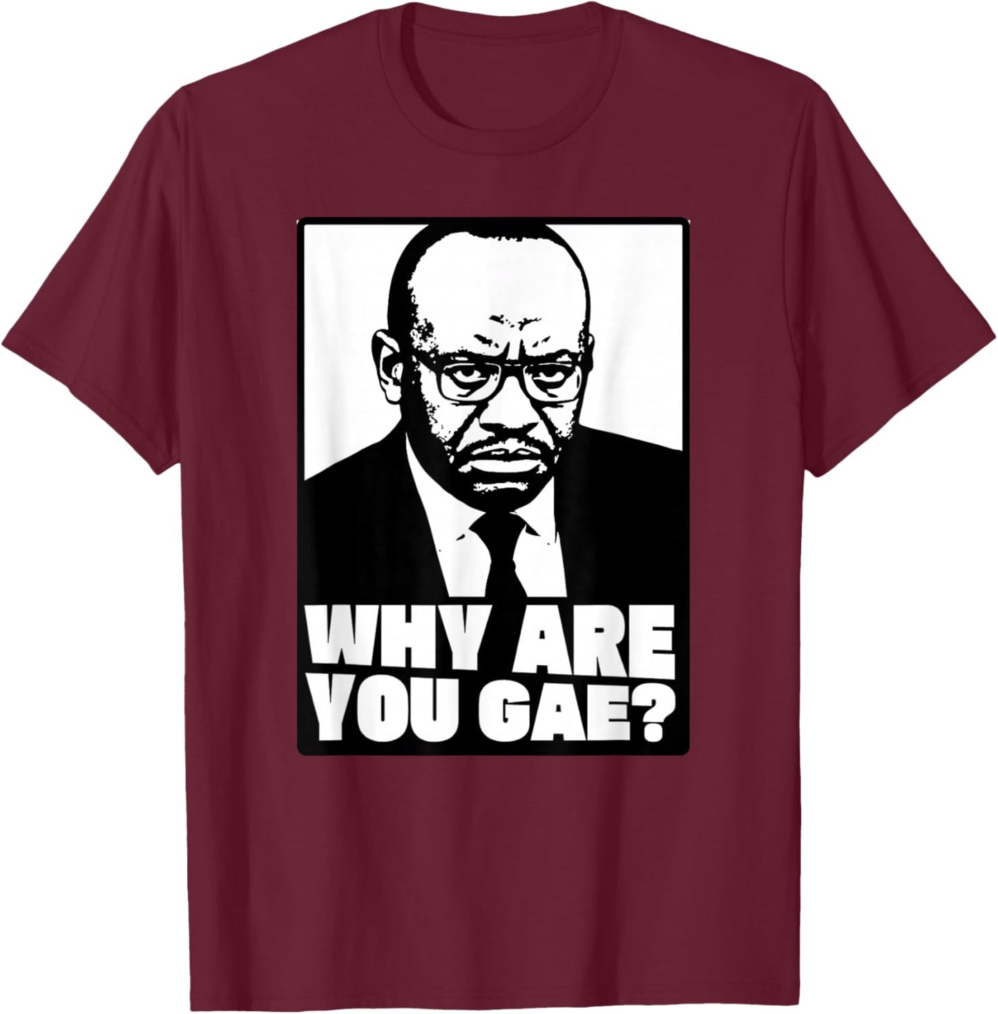 Why are You Gay - Meme T-Shirt - T-Shirt | Maroon