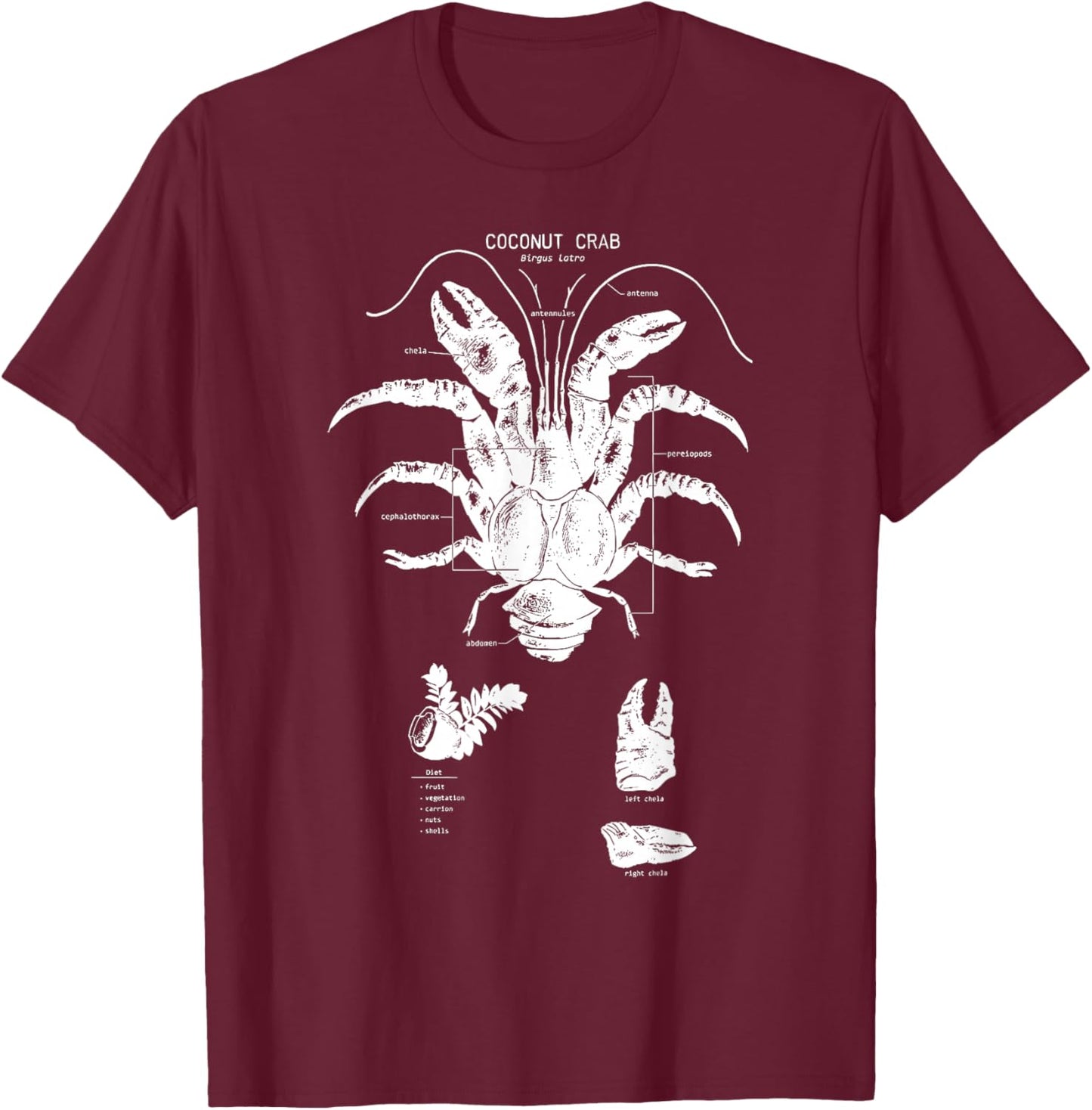 Coconut Crab Anatomy Marine Biology Cute Sea Animal Ocean T-Shirt - T-Shirt | Maroon