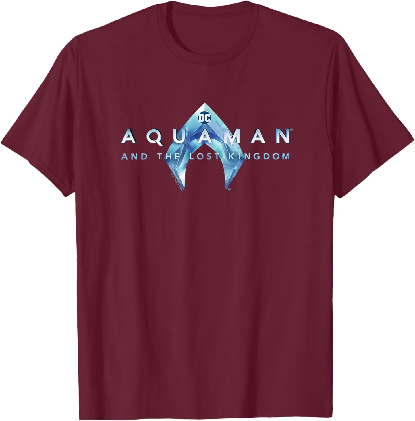 Aquaman Kids' Black with Aquaman and the Lost Kingdom Logo T-Shirt - T-Shirt | Maroon