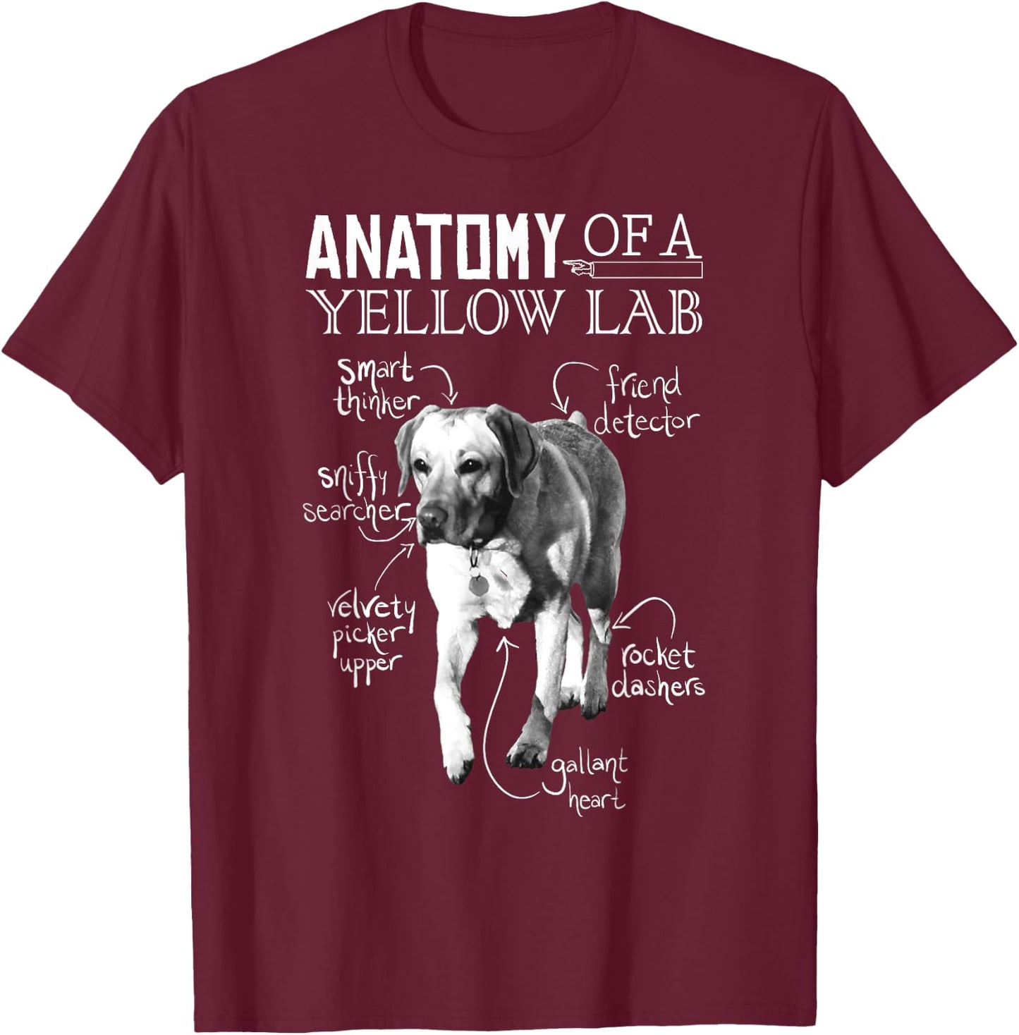 Anatomy of a Yellow Lab Chalkboard, Labrador Retriever Lover T-Shirt - T-Shirt | Maroon