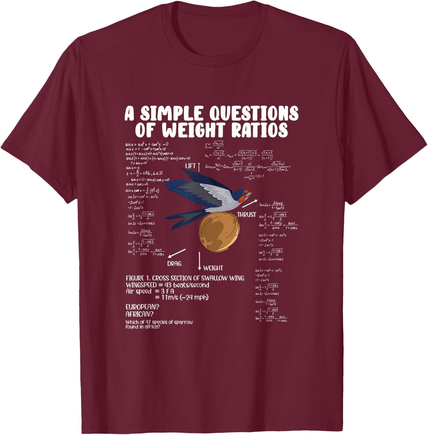 A Simple Question of Weight Ratios Math Teacher Men Women T-Shirt - T-Shirt | Maroon