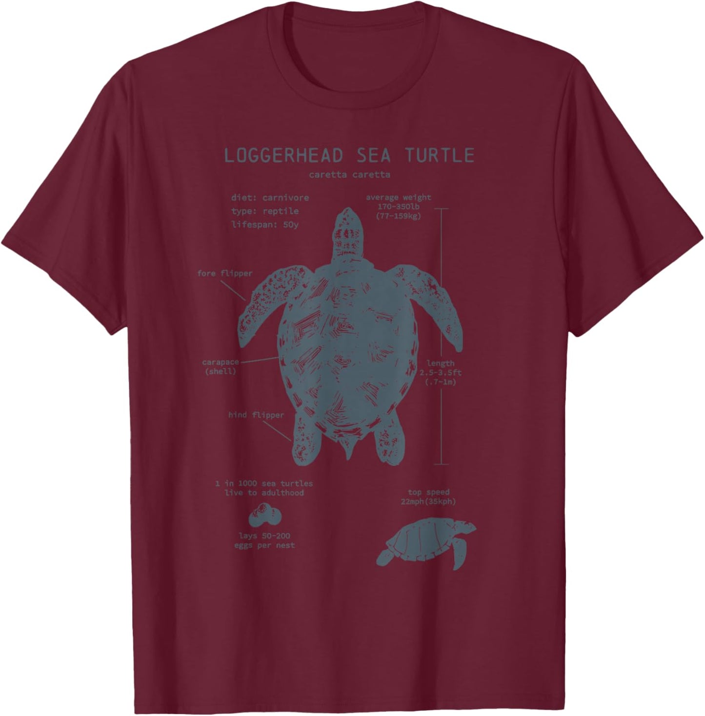 Loggerhead Sea Turtle Anatomy Marine Biologist Vintage T-Shirt - T-Shirt | Maroon