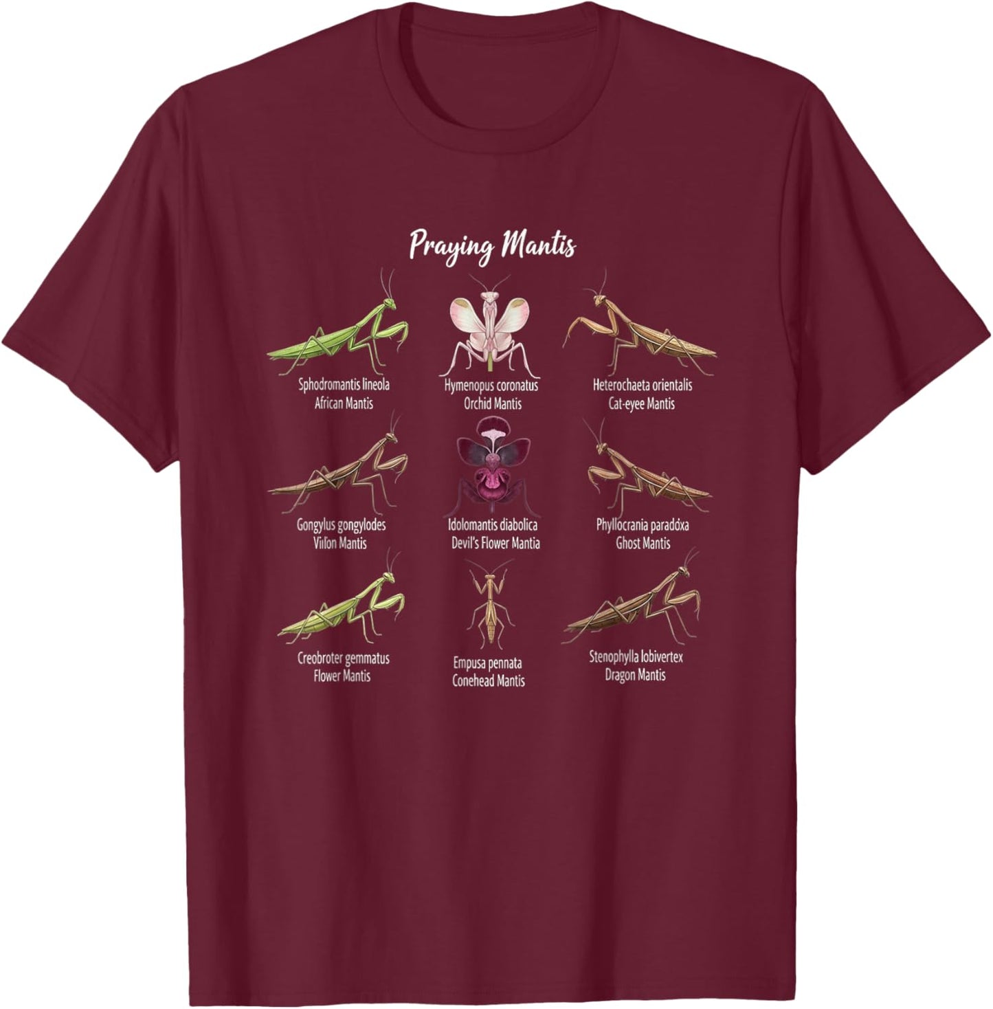 Types Of Praying Mantis Insect Collector Entomologist T-Shirt - T-Shirt | Maroon