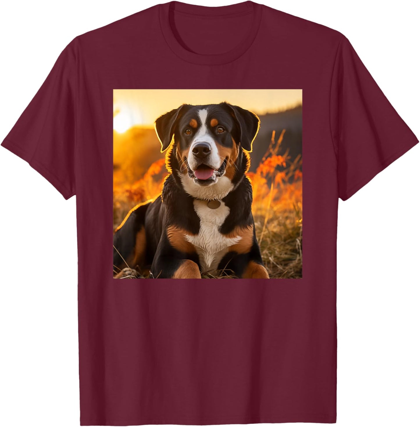 Greater Swiss Mountain Dog Sitting In The Sunset Photography T-Shirt - T-Shirt | Maroon