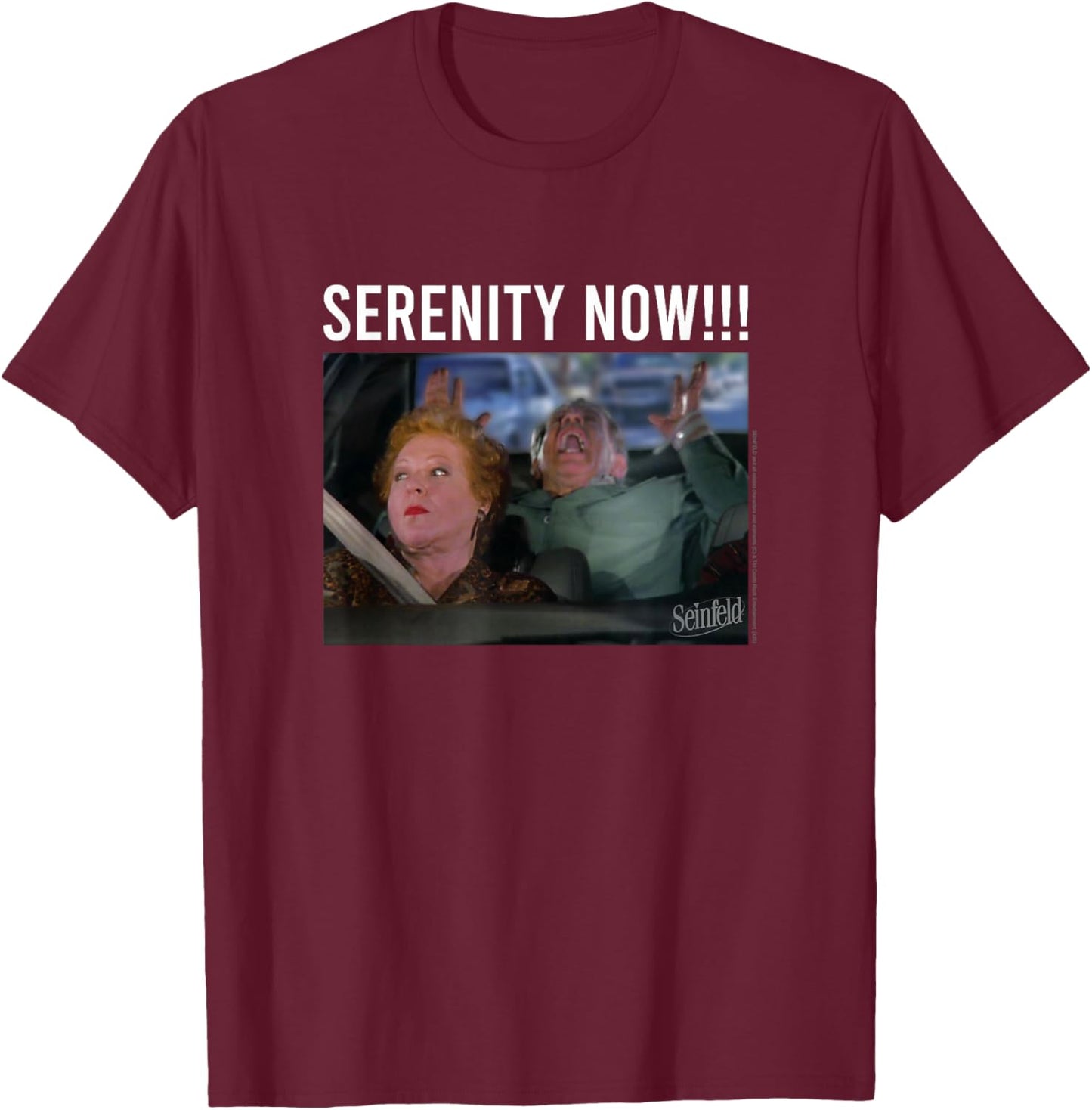 Seinfeld Serenity Now Frank Costanza Vintage Photoreal T-Shirt - T-Shirt | Maroon