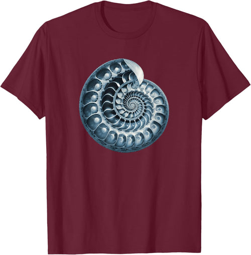 Fibonacci, spiral, shell, snail, phi, symbol, golden ratio