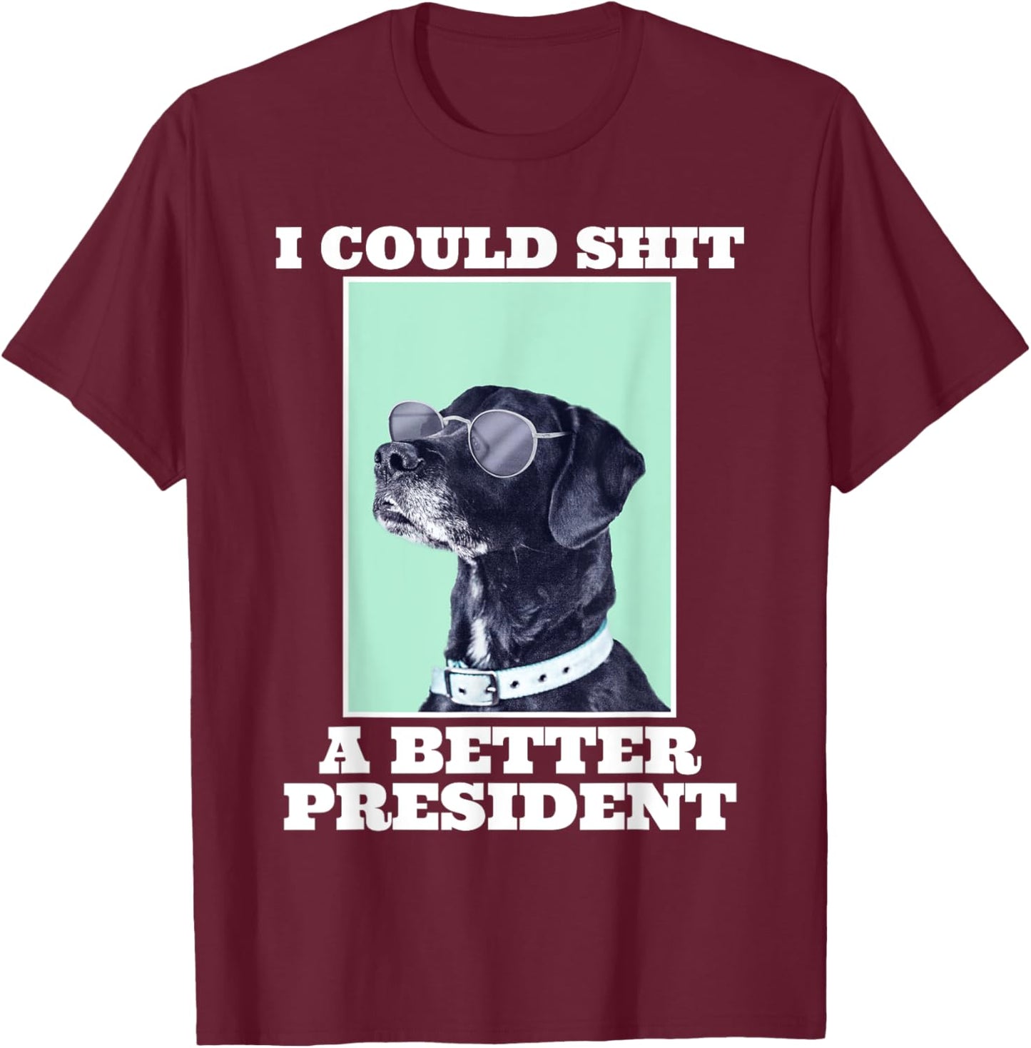 I Could Shit A Better President Funny Dogs Lovers Sarcasm T-Shirt - T-Shirt | Maroon