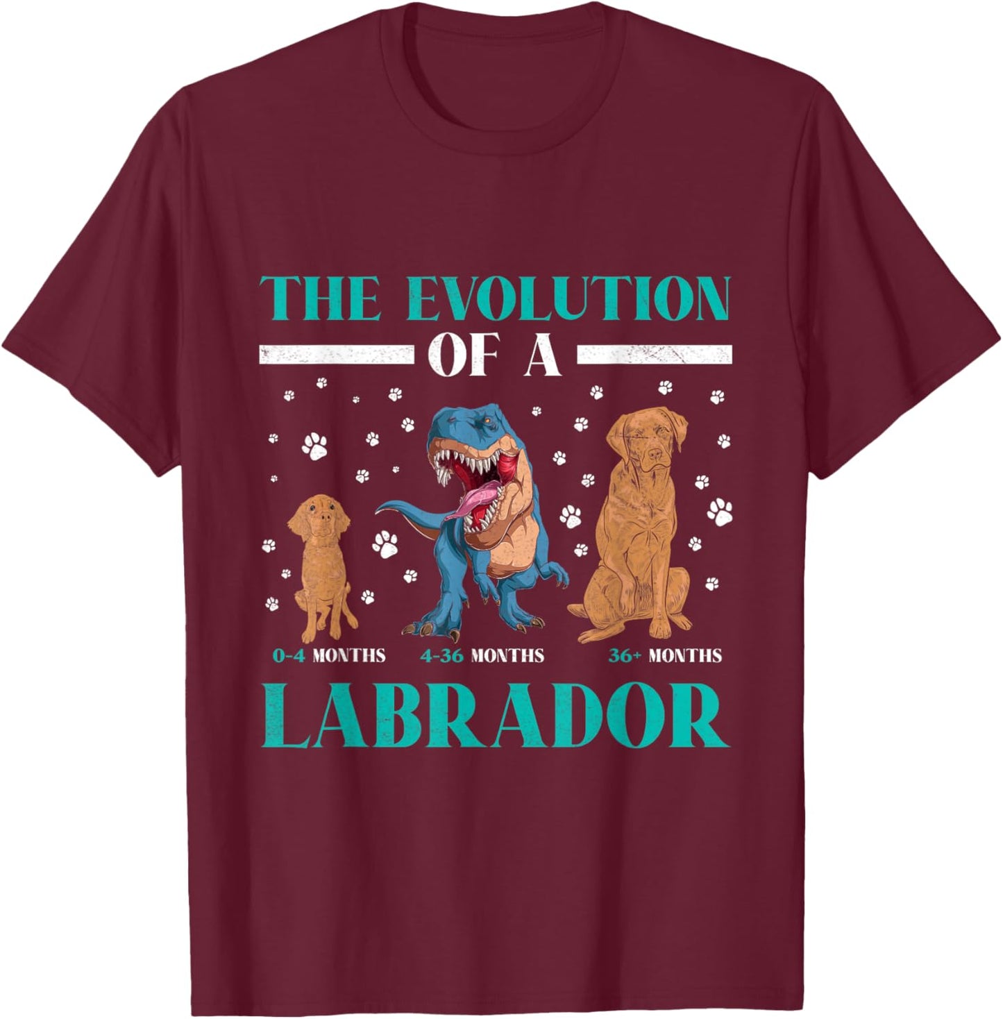 EVOLUTION OF A LABRADOR RETRIEVER Owner Labradors T-Shirt - T-Shirt | Maroon