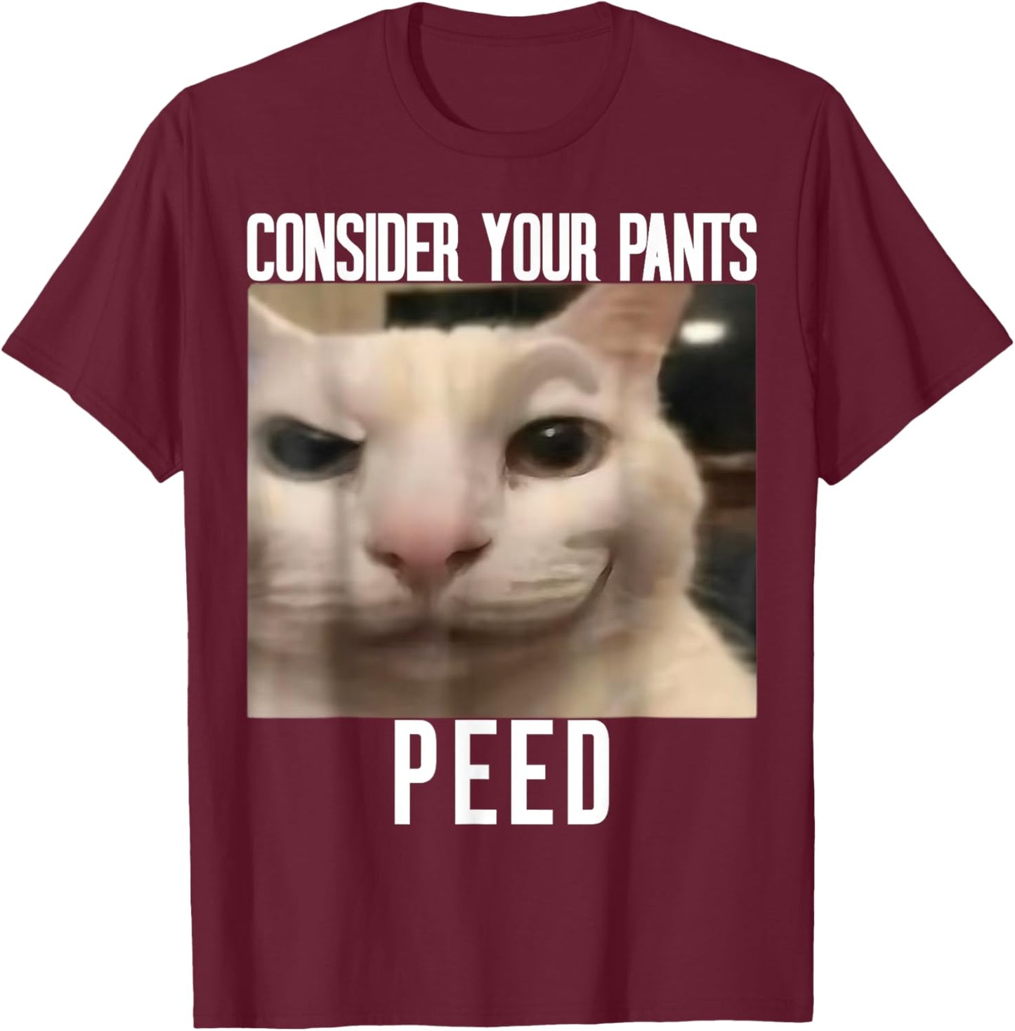 Consider Your Pants Peed Weird Cat Meme Funny Memes Brainrot T-Shirt - T-Shirt | Maroon