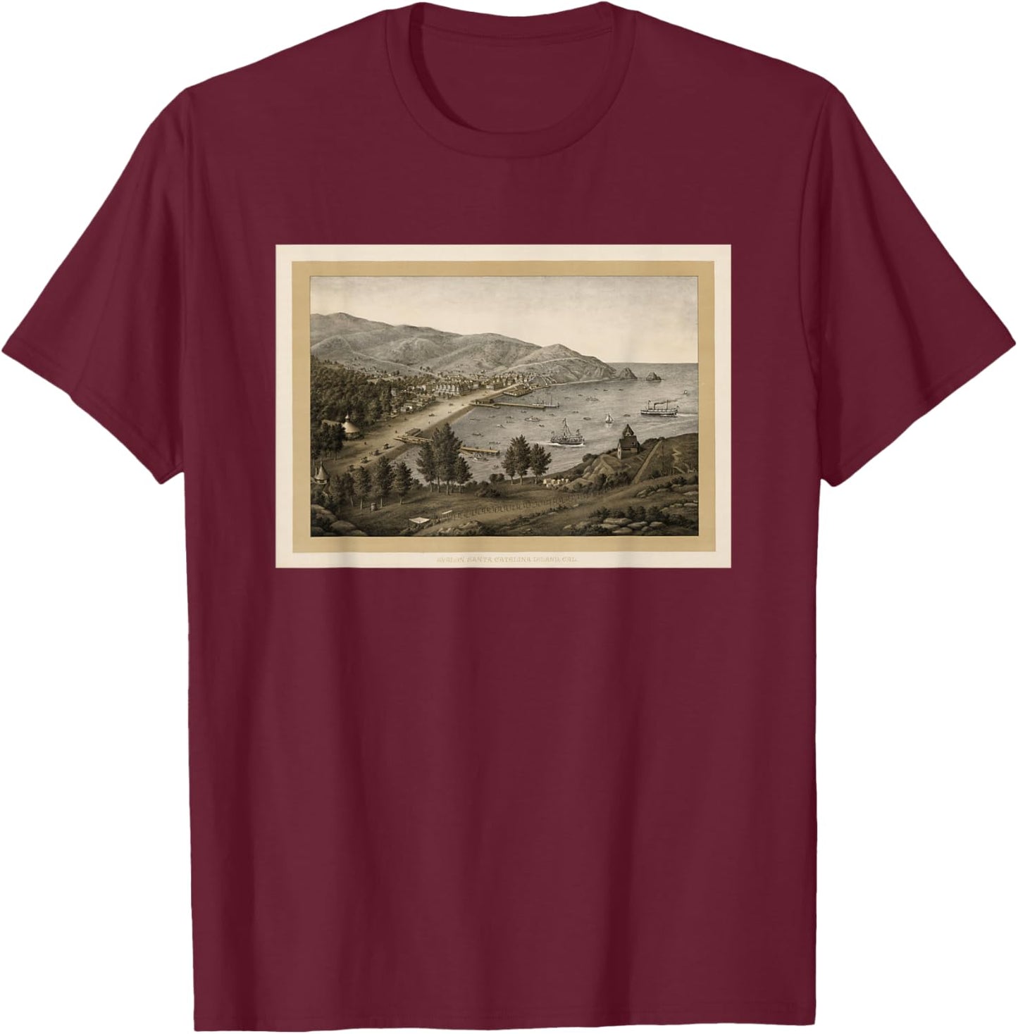 Vintage Avalon CA Map (1885) T-Shirt - T-Shirt | Maroon