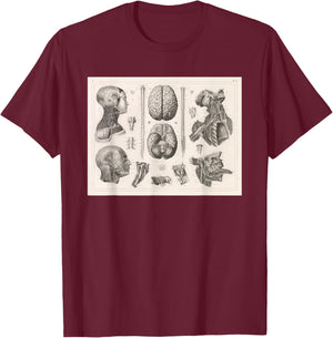 Brain, Spinal and Nervous System Medical Diagram T-Shirt - T-Shirt | Maroon