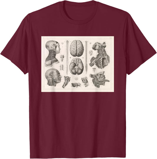 Brain, Spinal and Nervous System Medical Diagram T-Shirt - T-Shirt | Maroon