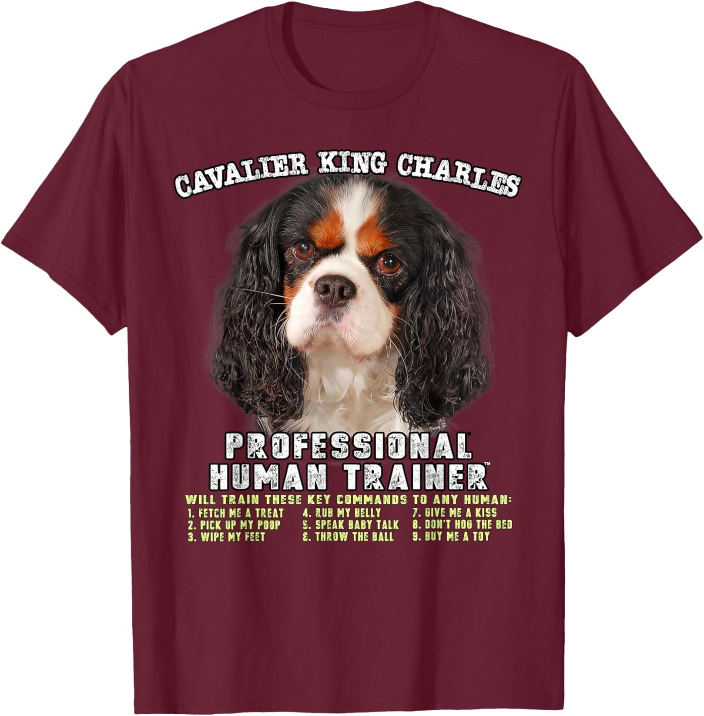 Cavalier King Charles Spaniel Tri Professional Human Trainer T-Shirt - T-Shirt | Maroon