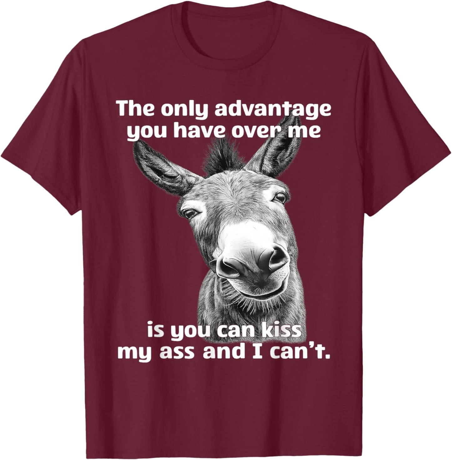 The Only Advantage You Have Over Me is You Can Kiss My Ass T-Shirt - T-Shirt | Maroon
