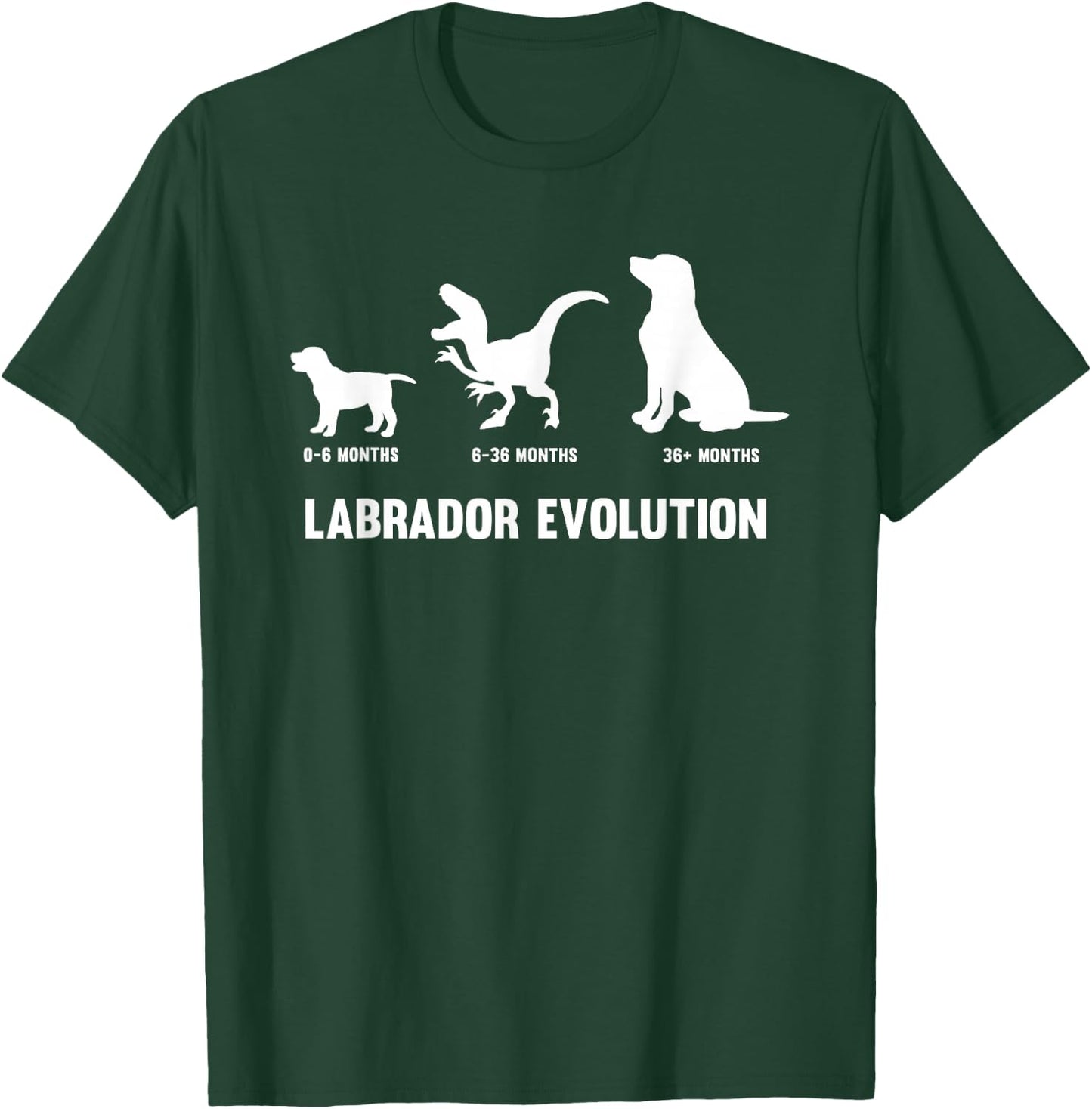 Labrador Retriever Evolution Design for a Labrador Owner Small T-Shirt - T-Shirt | Forest