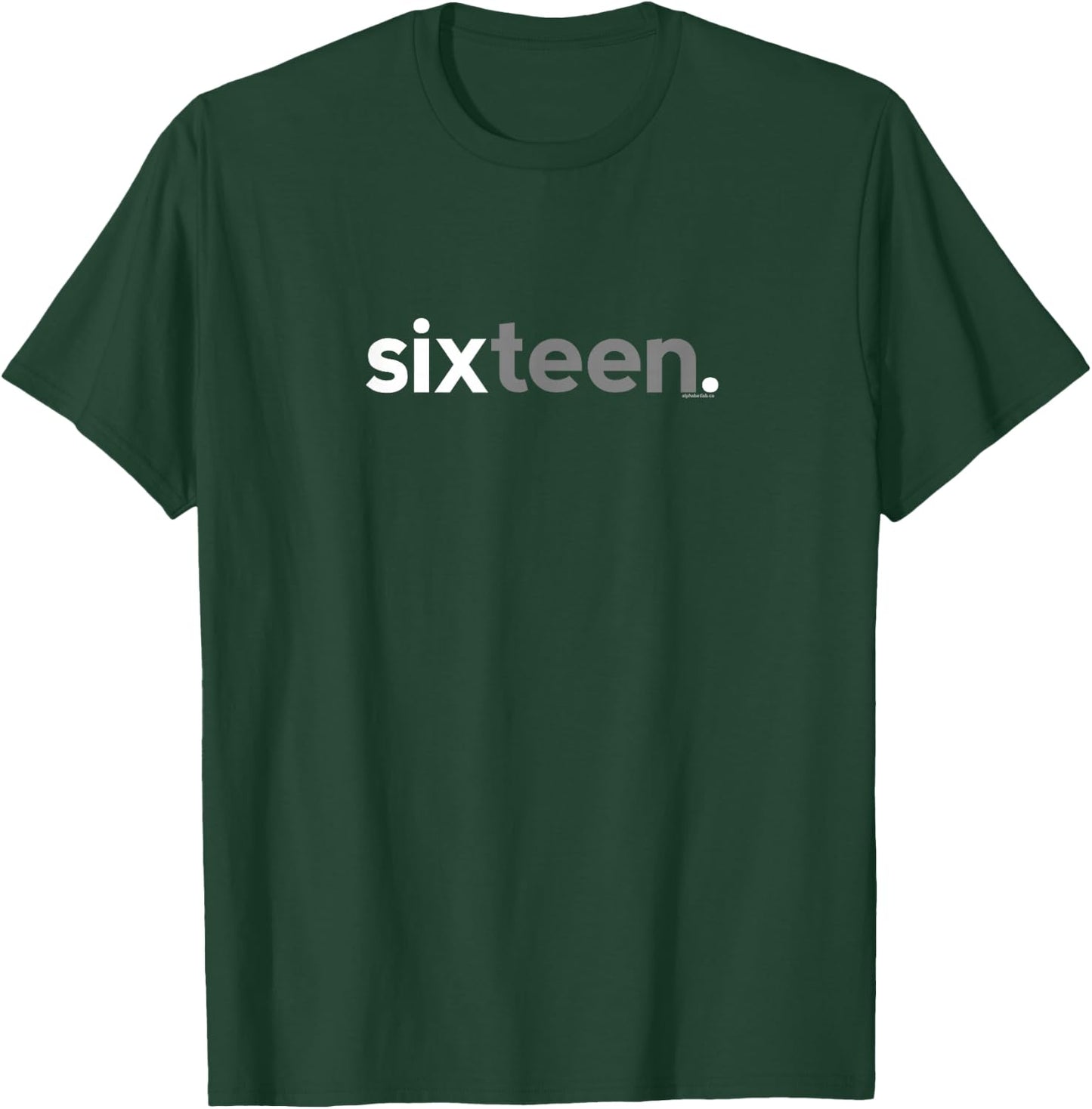 16th Birthday for Boys Sixteen Him Age 16 Year Party Teen T-Shirt - T-Shirt | Forest