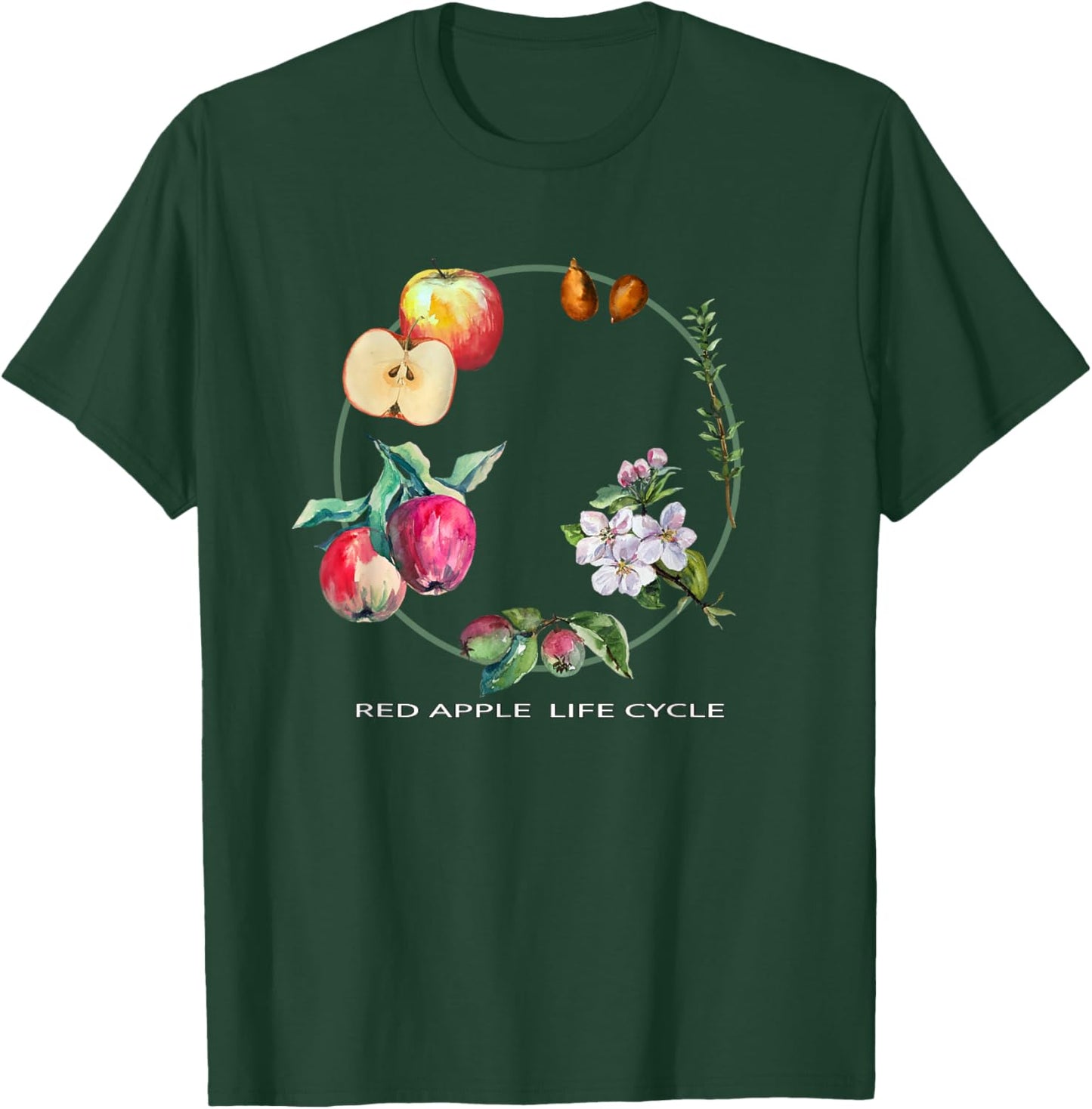 Red Apple Tree Life Cycle Process From Seeds to Fruits Art T-Shirt - T-Shirt | Forest