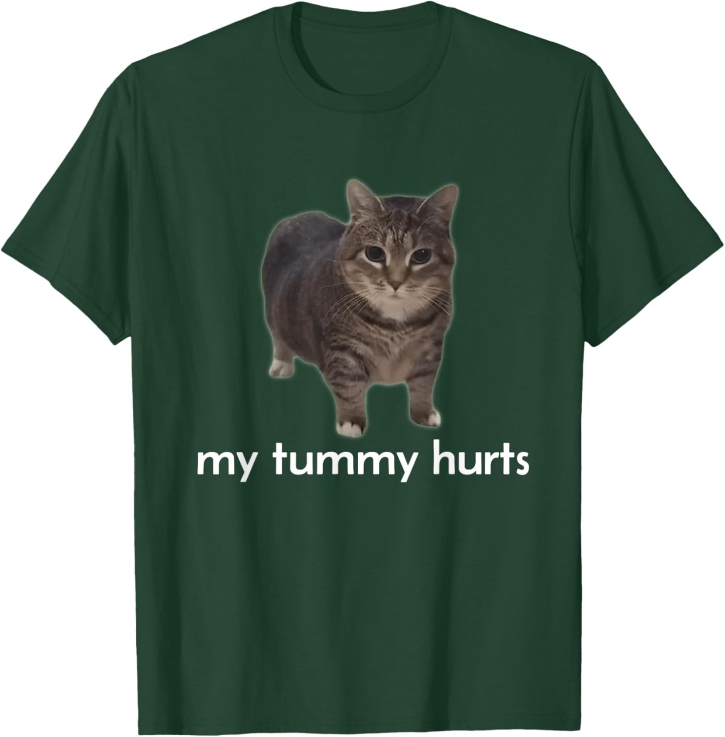 My Tummy Hurts Funny Oiia Oiia Cat Meme Men Women T-Shirt - T-Shirt | Forest