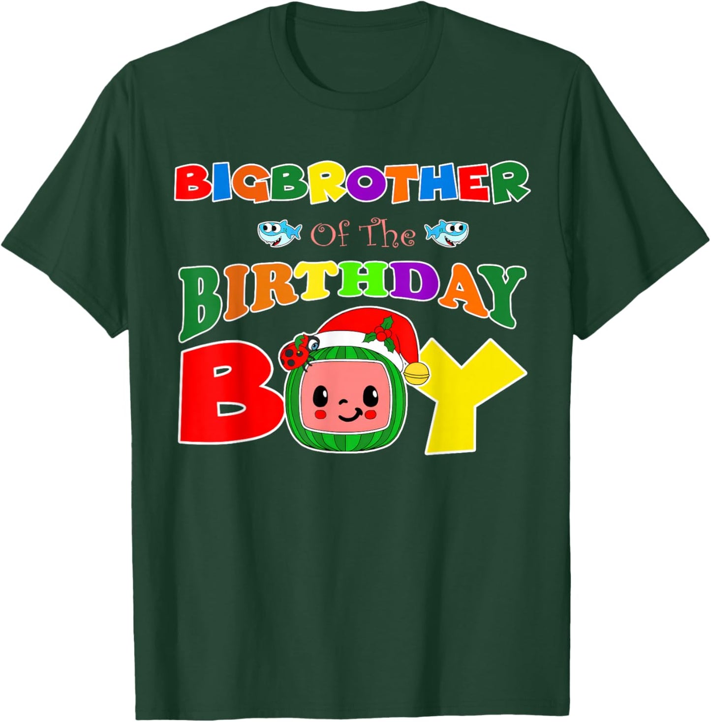 Big Brother Of The Birthday Boy Funny Melon Family Matching T-Shirt - T-Shirt | Forest