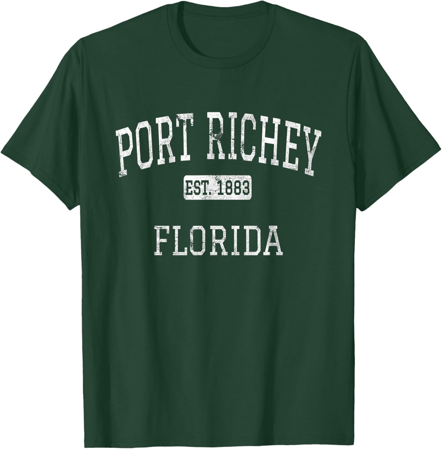 Port Richey Florida FL Vintage T-Shirt - T-Shirt | Forest