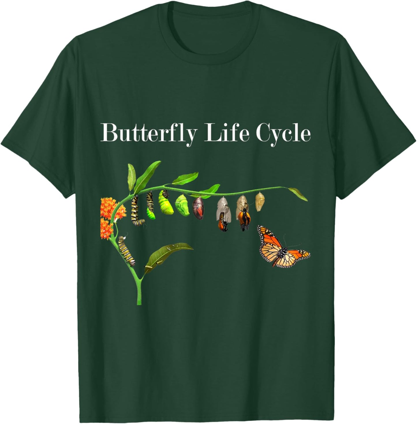 Butterfly Life Cycle Butterflies Natural Sciences Lover T-Shirt - T-Shirt | Forest