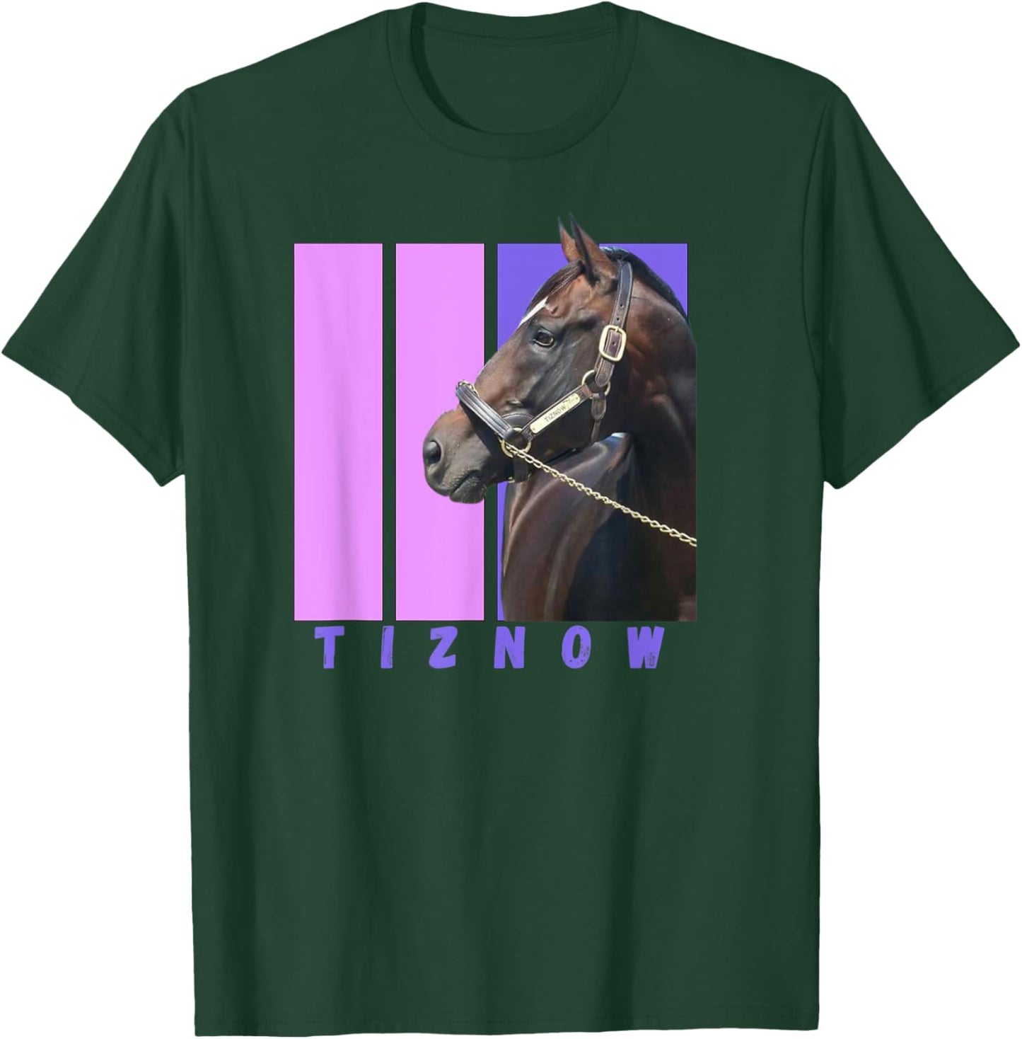 Tiznow, Thoroughbred Racing, Del Mar, Santa Anita, Horses T-Shirt - T-Shirt | Forest