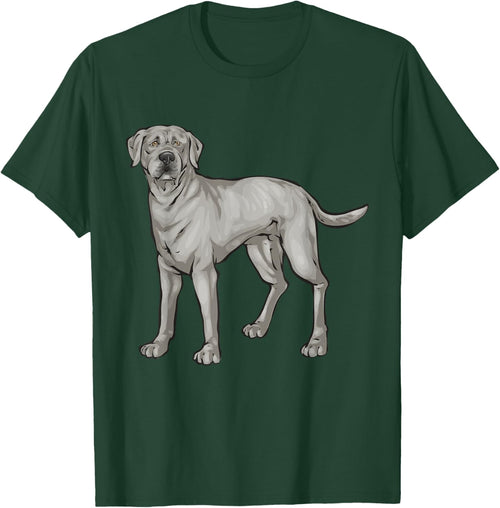 Silver Lab Silver Labrador Retriever