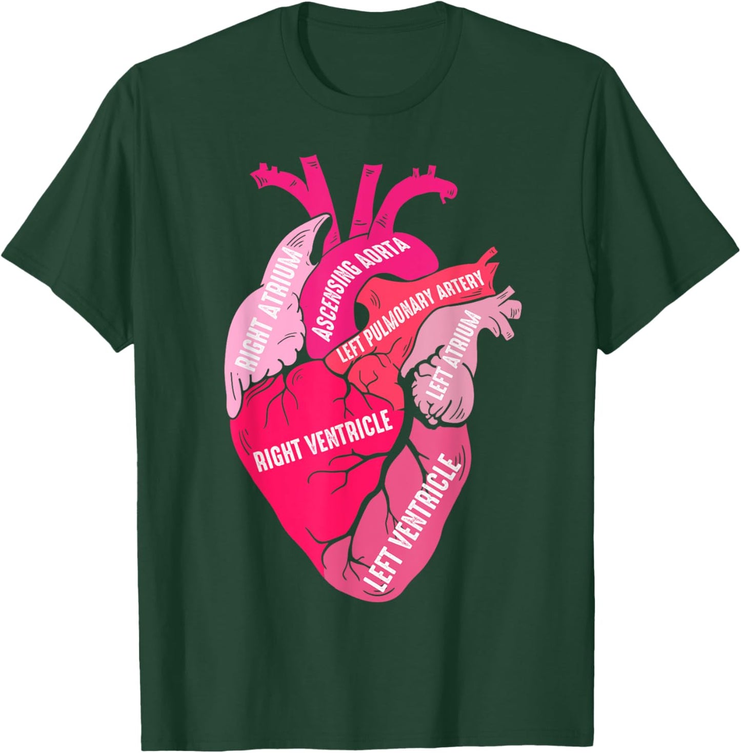 Parts Of Heart Cardiology Men Women Anatomical Cardiac T-Shirt - T-Shirt | Forest